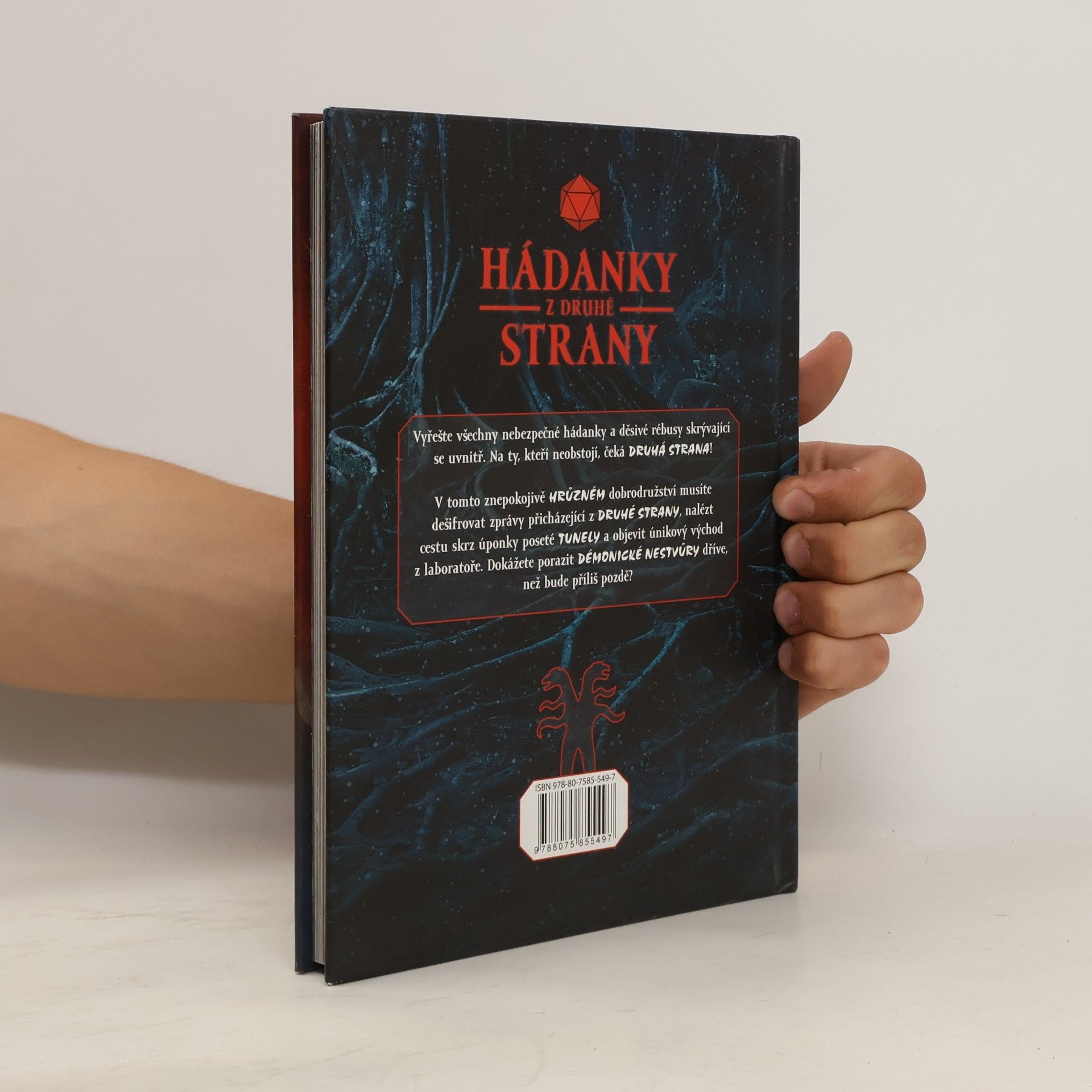 Jason Ward Hádanky z druhé strany. Děsivě návykové dobrodružství plné hlavolamů inspirované světem Stranger things