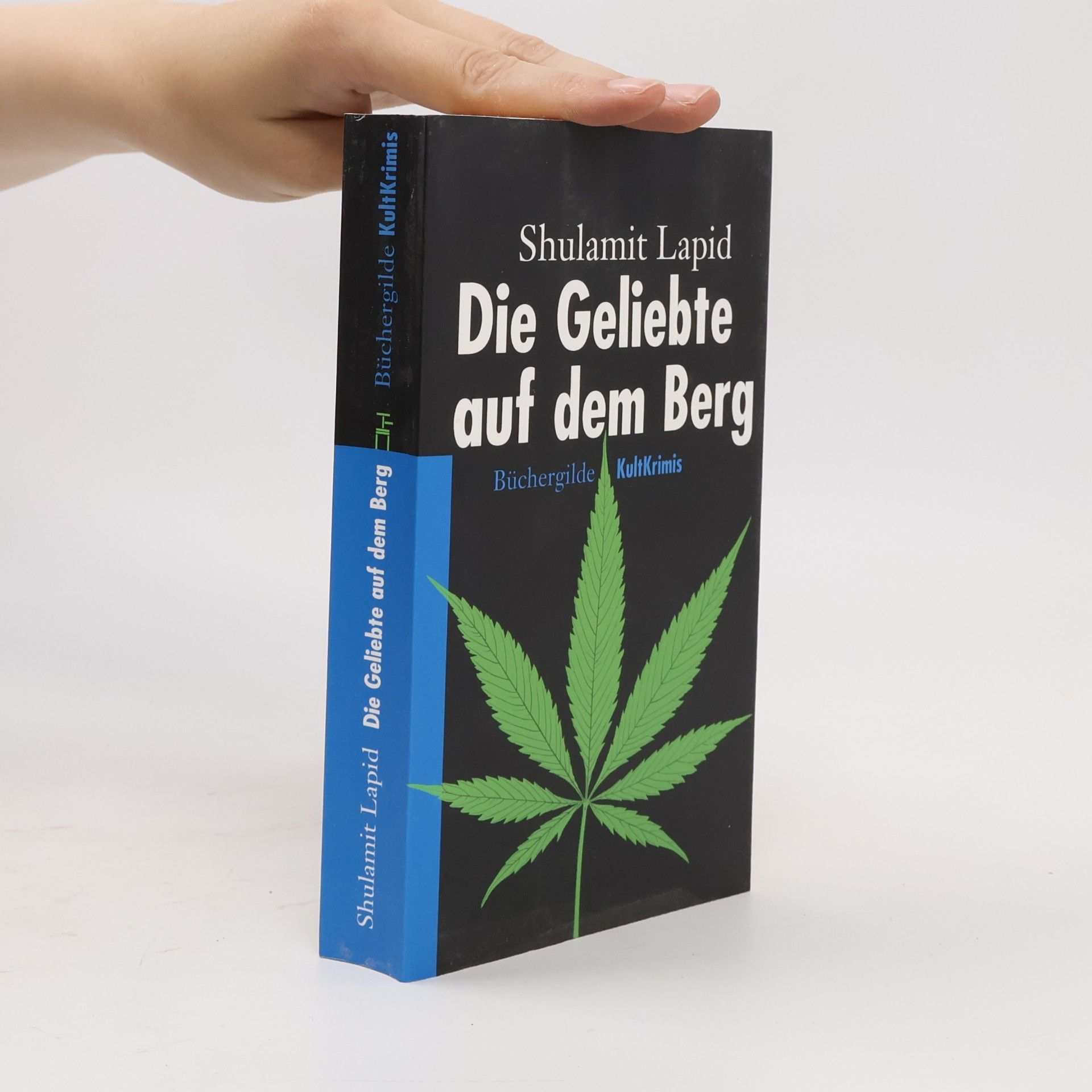 Shulamit Lapid Die Geliebte auf dem Berg