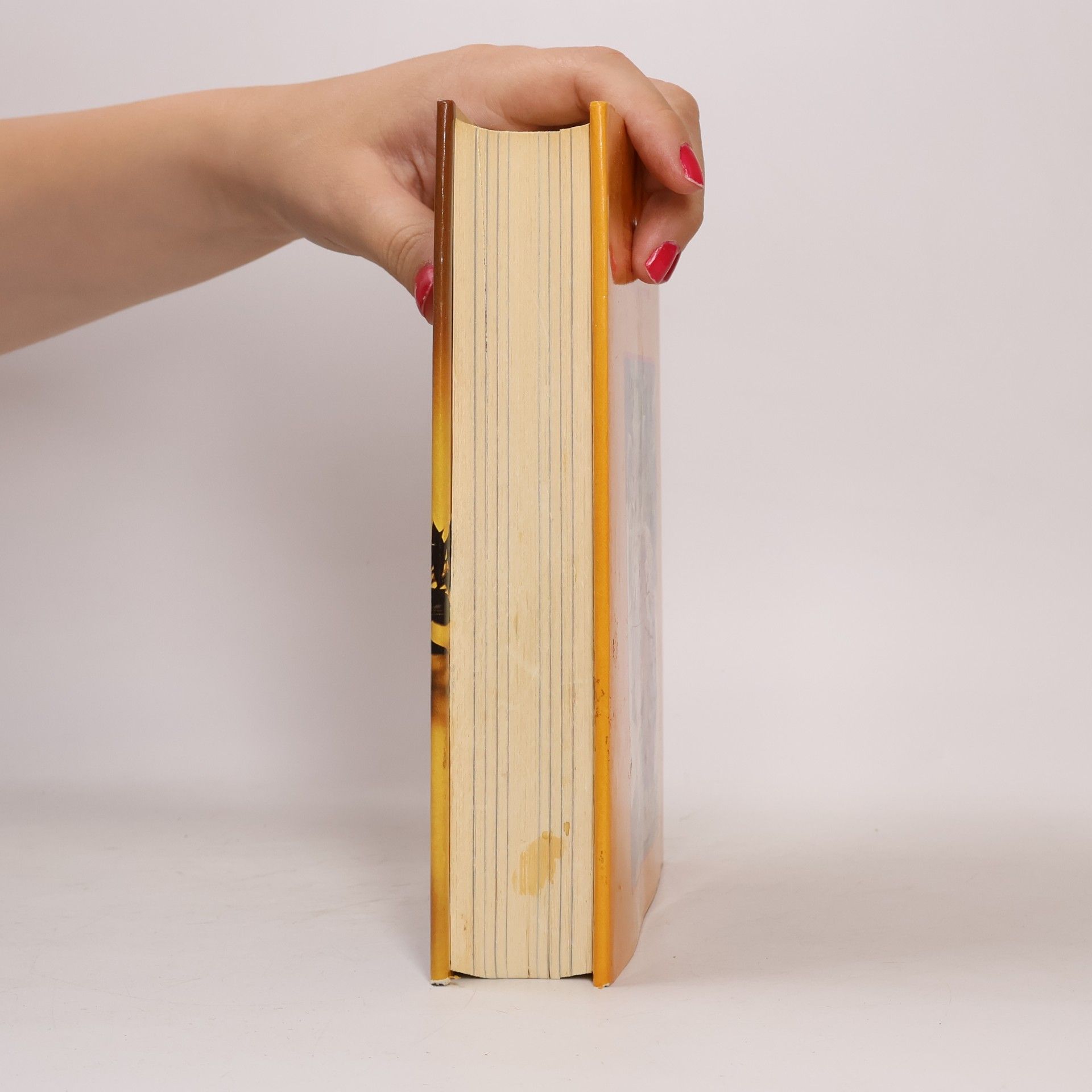 Richard Witzelsberger Das österreichische Mehlspeisen Kochbuch