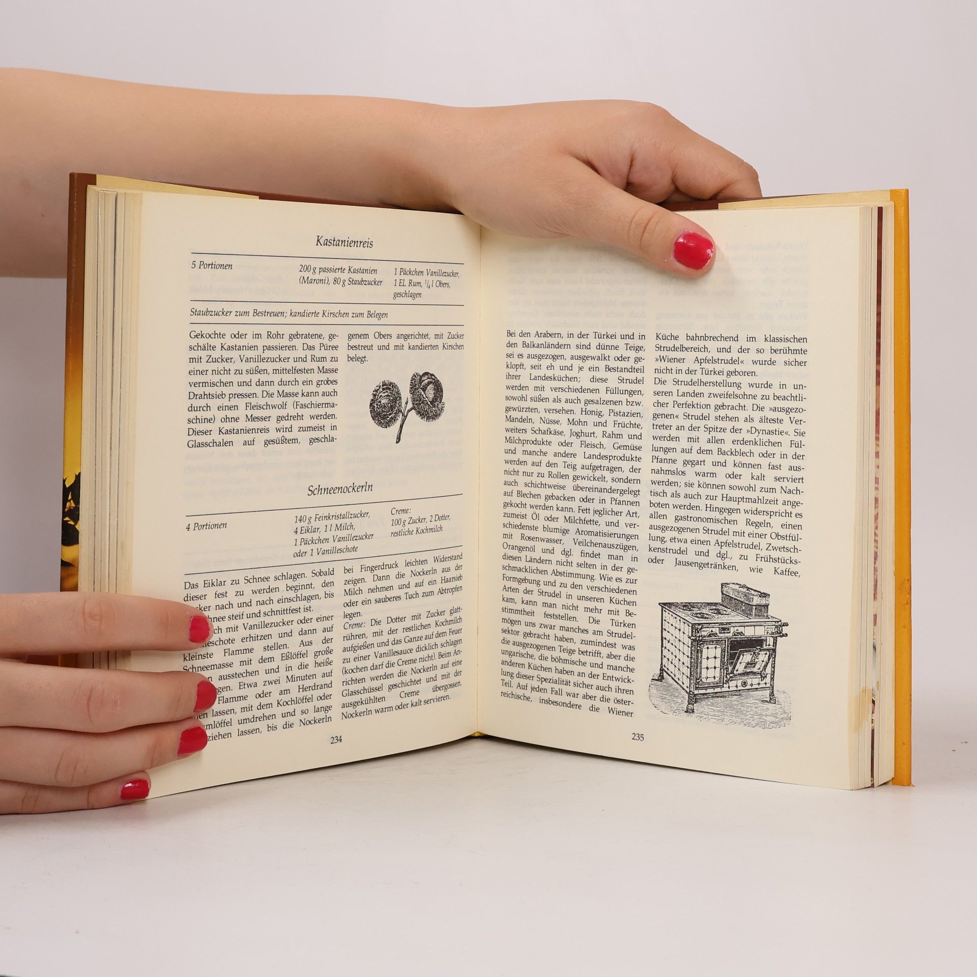 Richard Witzelsberger Das österreichische Mehlspeisen Kochbuch