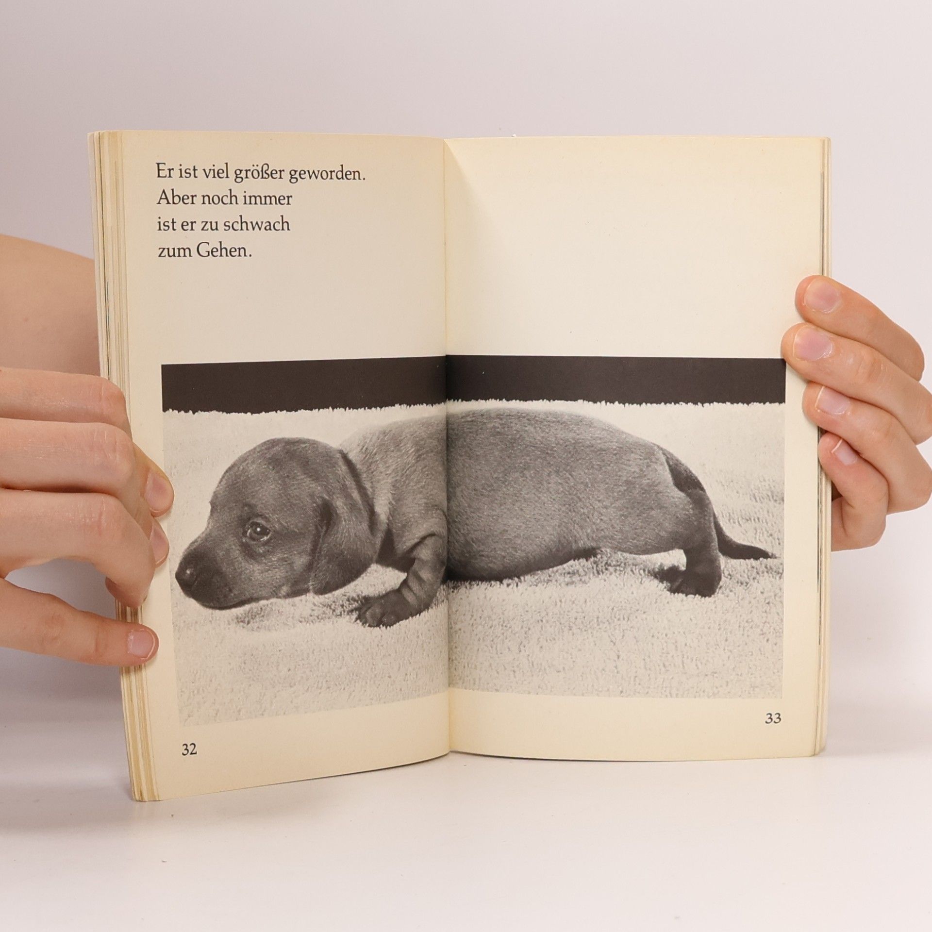 Kolektiv autorů Eine Handvoll Hund