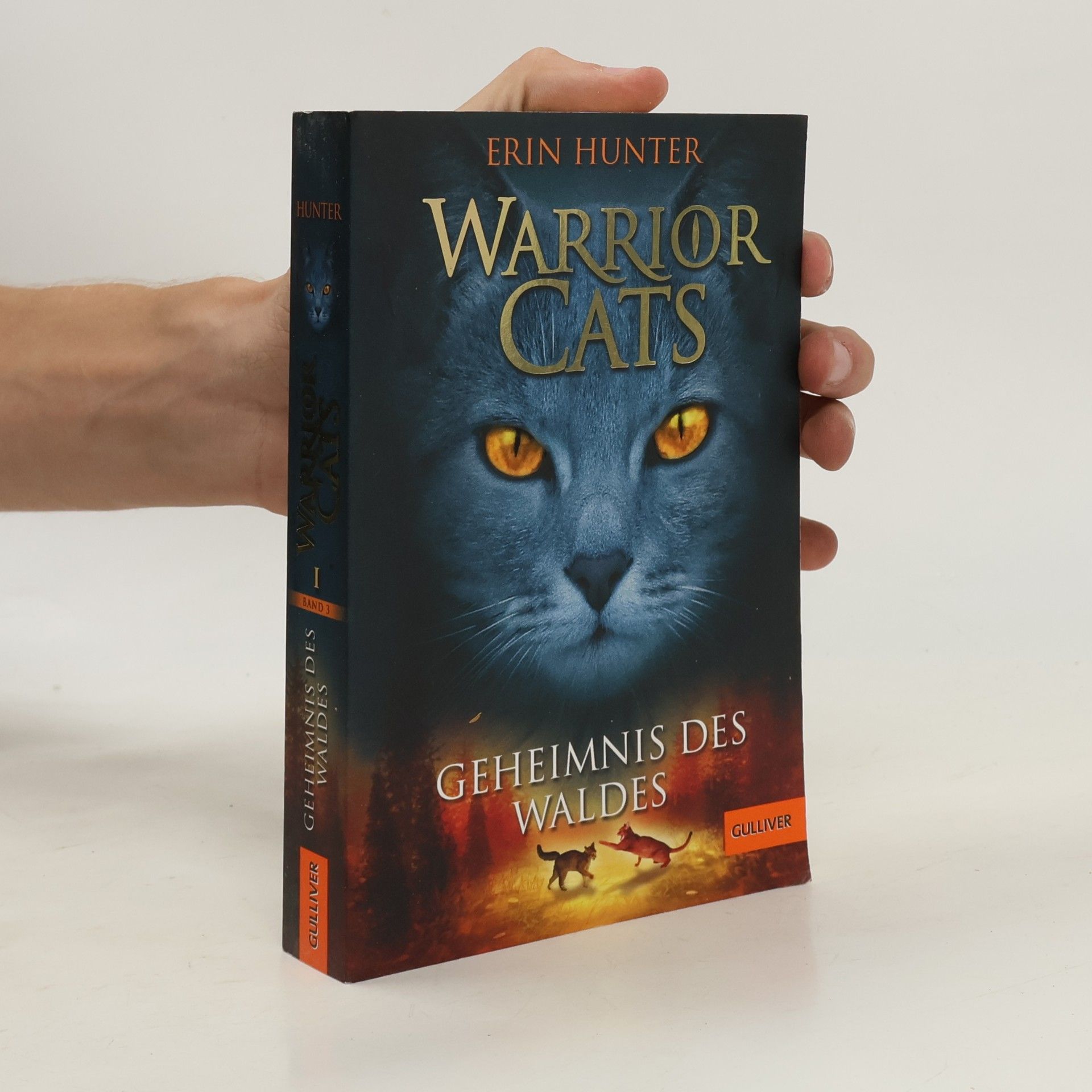 Erin Hunter Warrior Cats. Geheimnis des Waldes