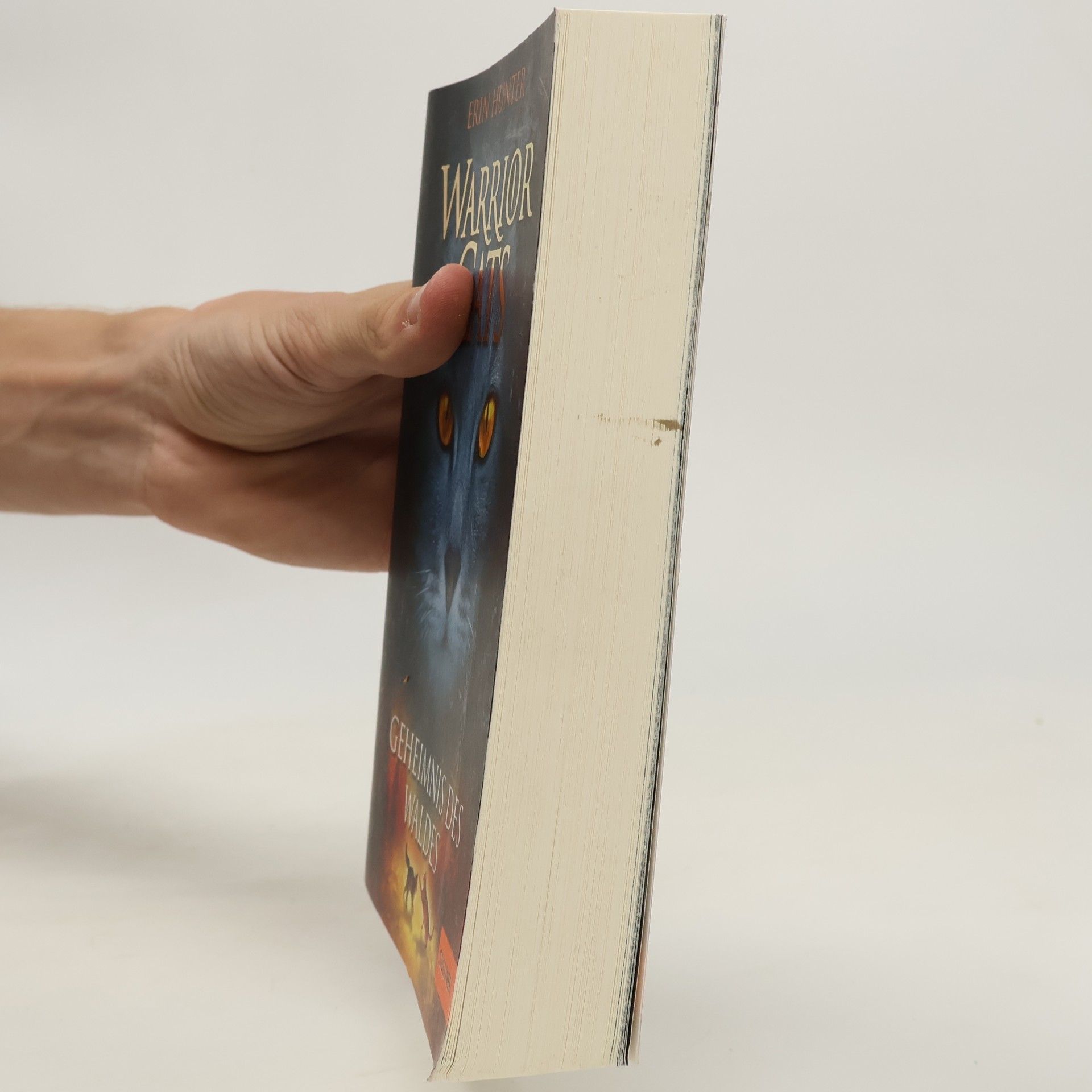 Erin Hunter Warrior Cats. Geheimnis des Waldes