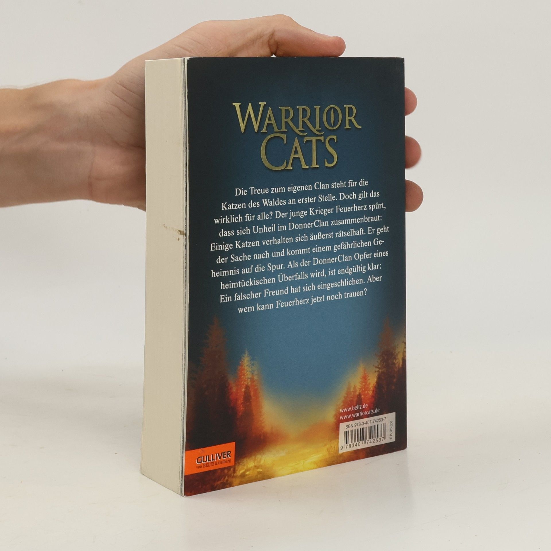 Erin Hunter Warrior Cats. Geheimnis des Waldes