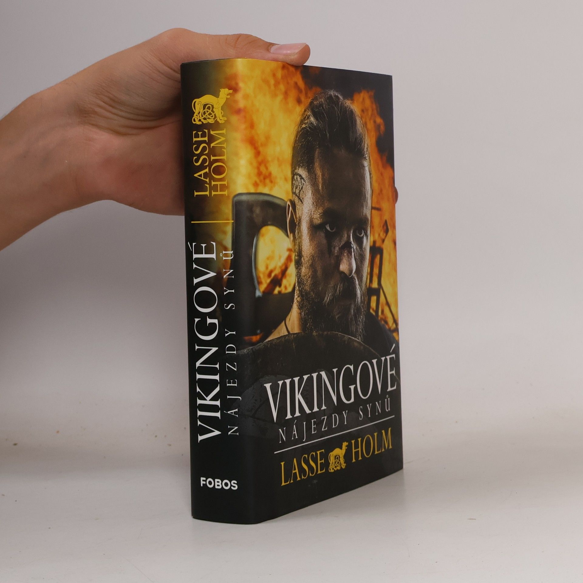 Vikingové. Nájezdy synů