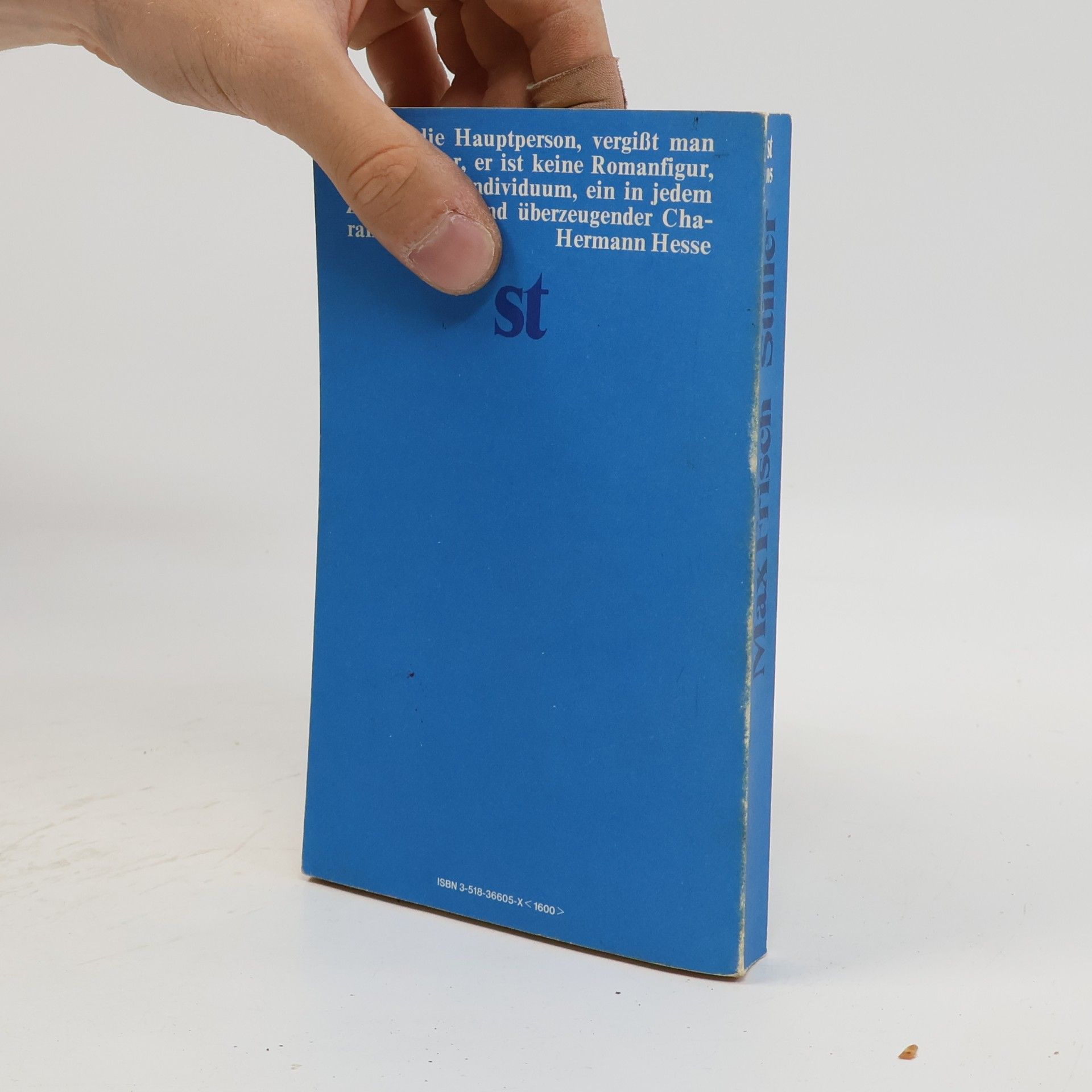 Max Frisch Stiller