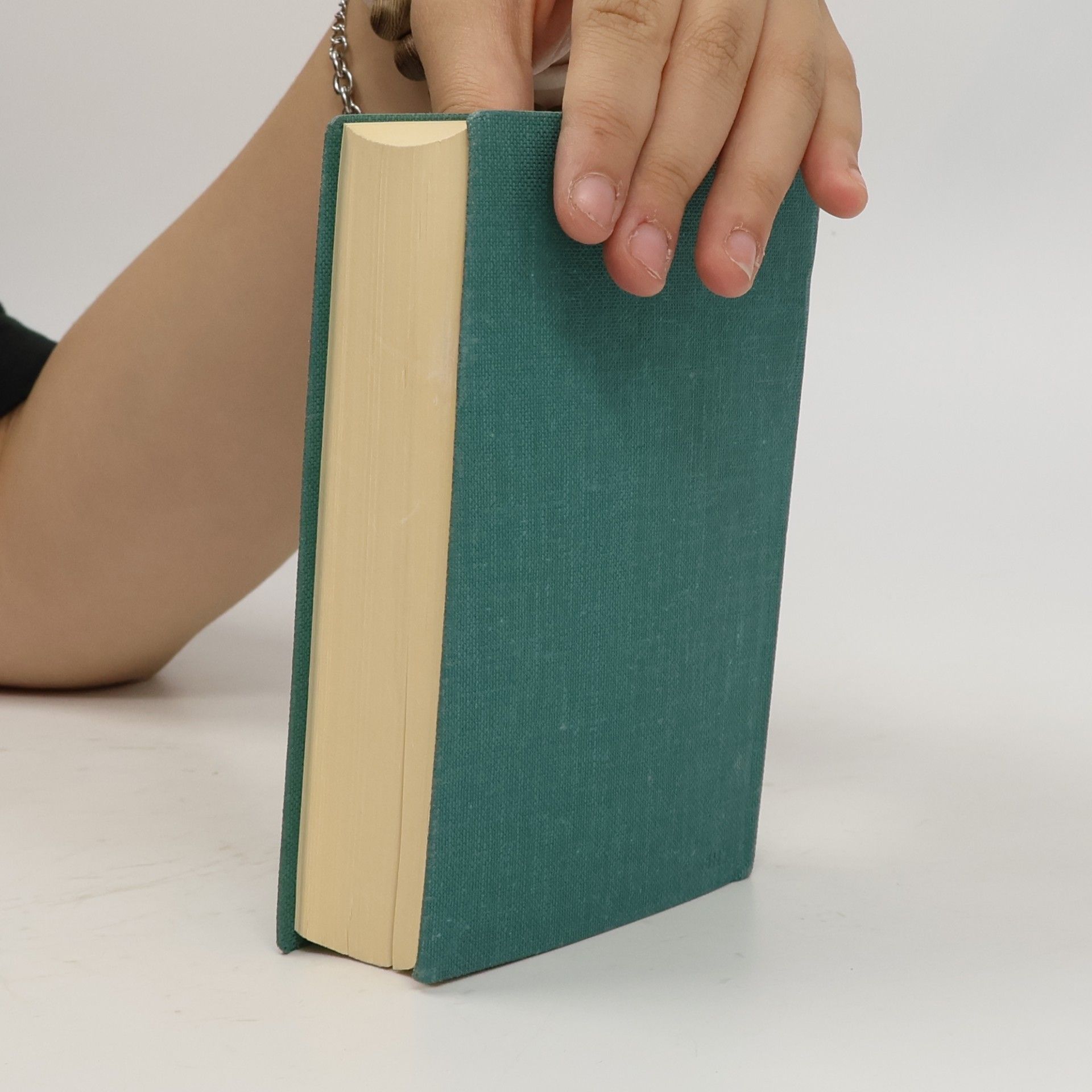 Martin Luther Die Bibel