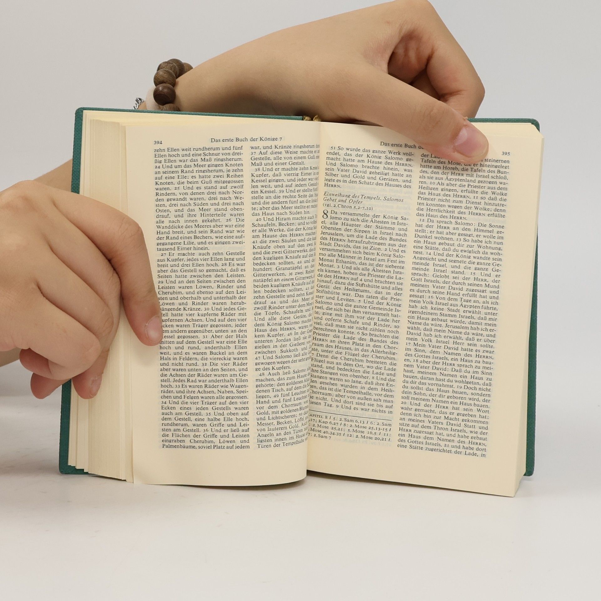 Martin Luther Die Bibel