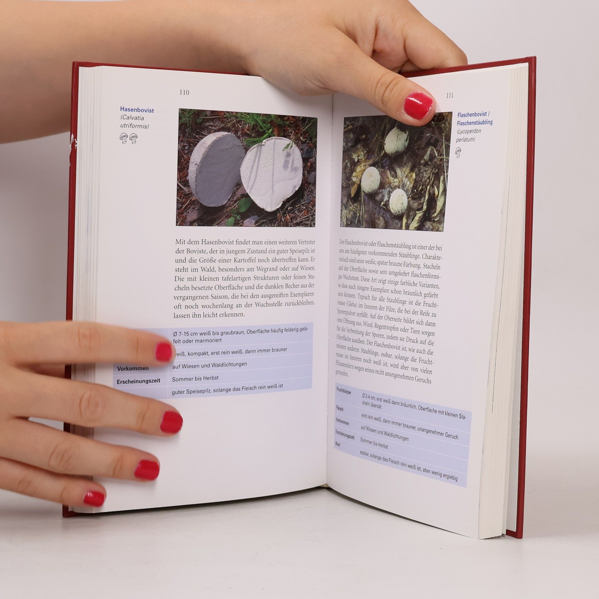 Frank Heppes Das Pilzbuch