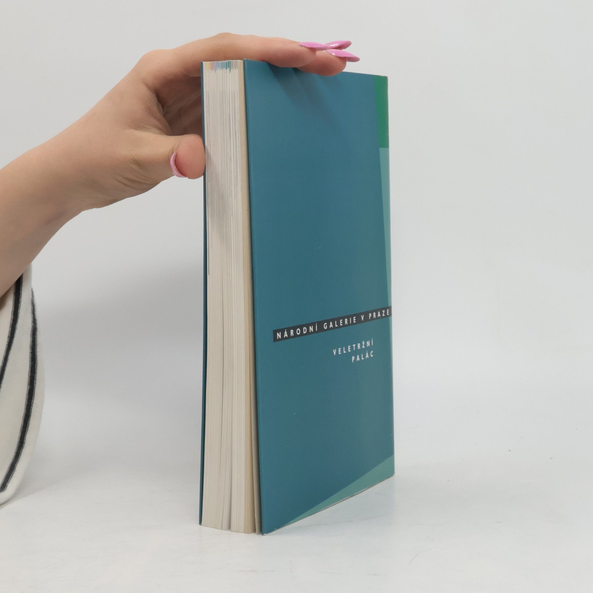 Collectif d'auteurs České moderní umění 1900-1960 (katalog stálé expozice)