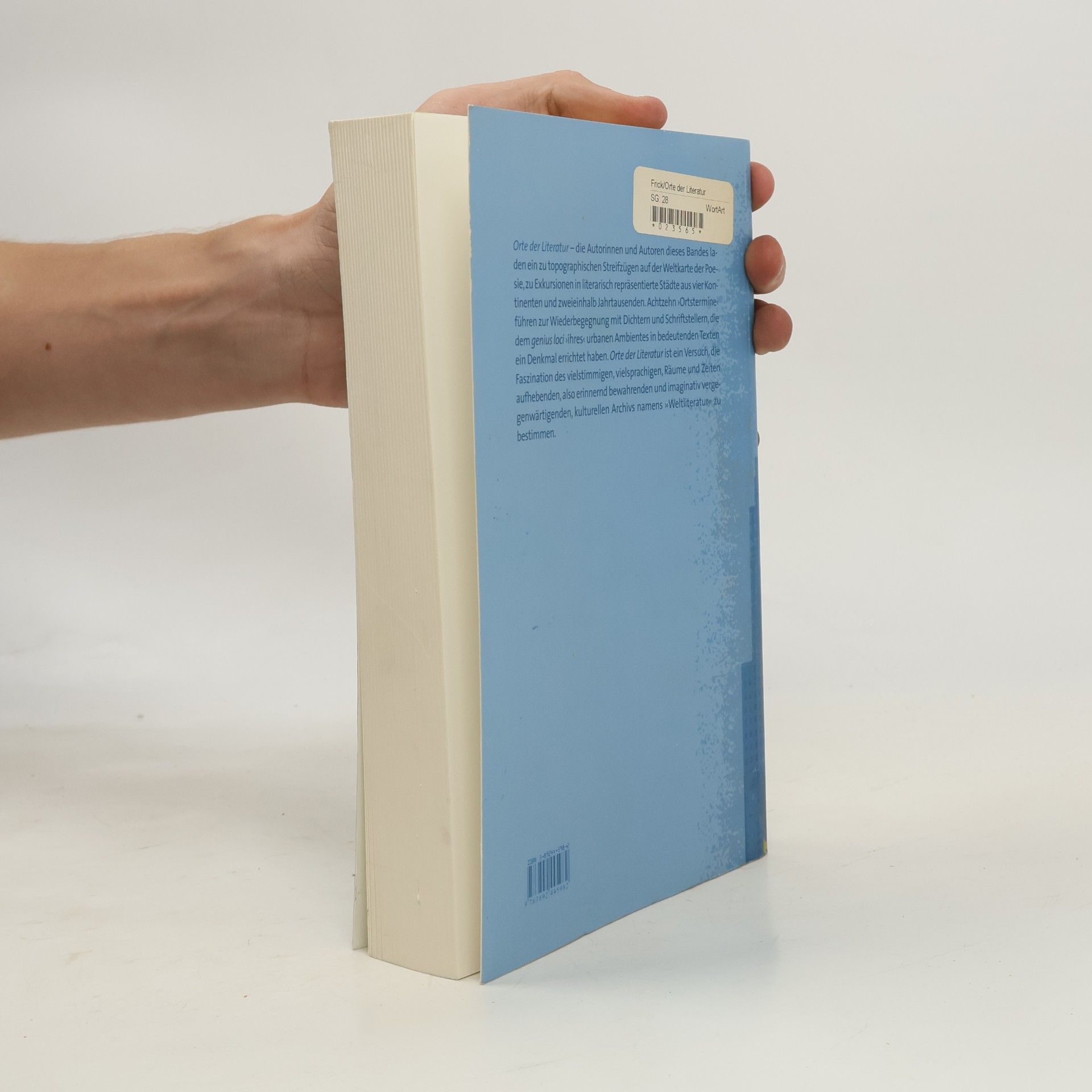 Werner Frick Orte der Literatur