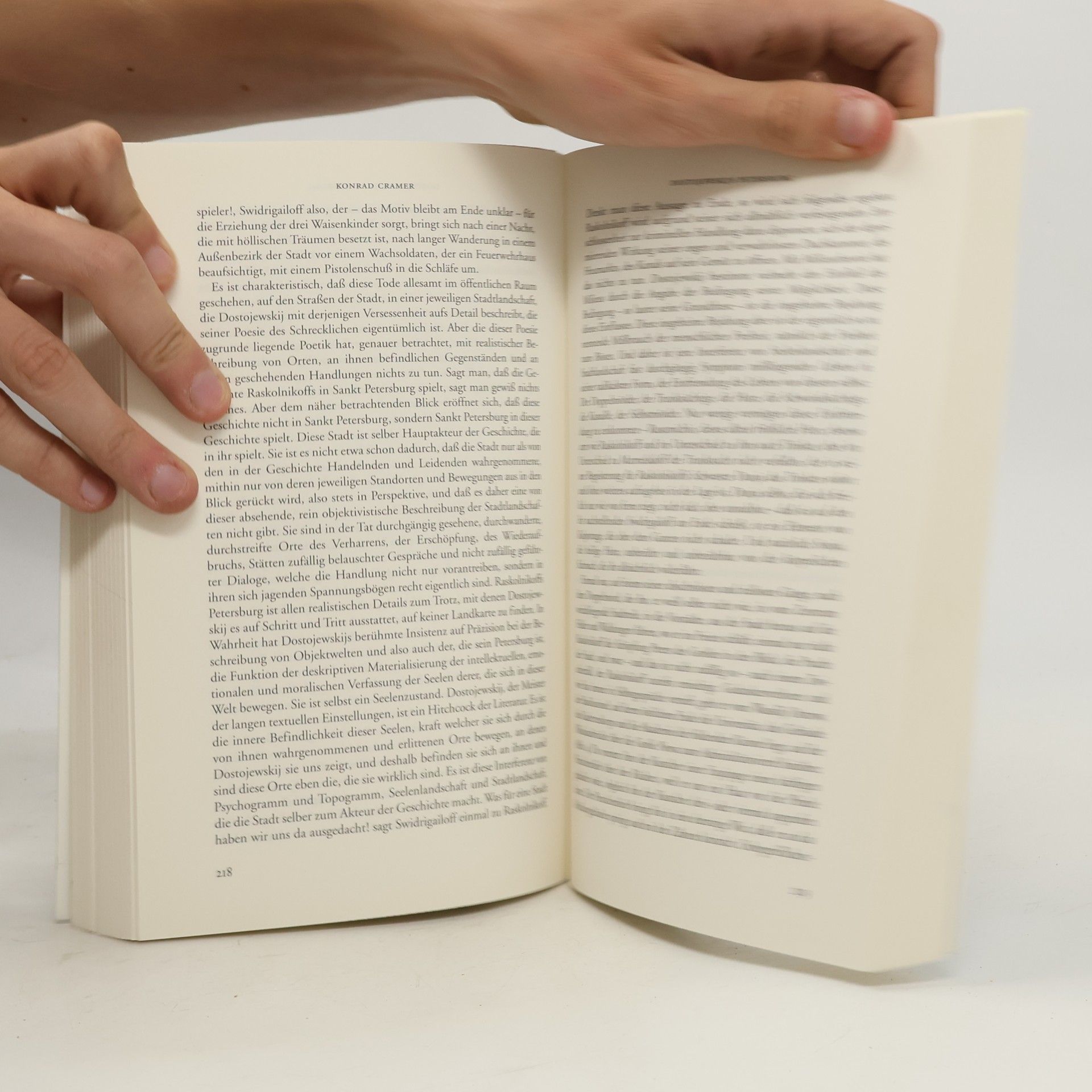 Werner Frick Orte der Literatur