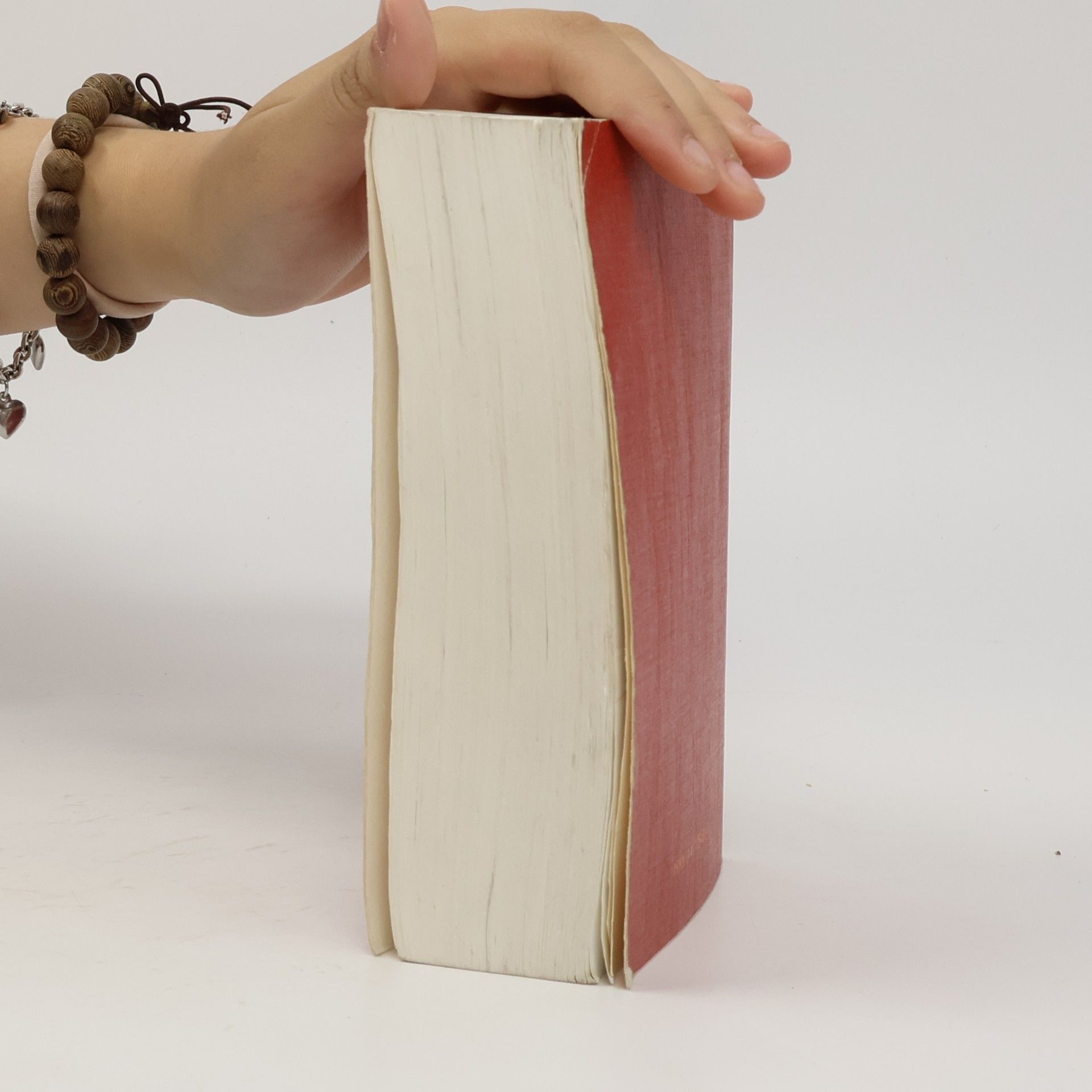 Autorenkollektiv Die Bibel Revidierte Elberfelder Bibel