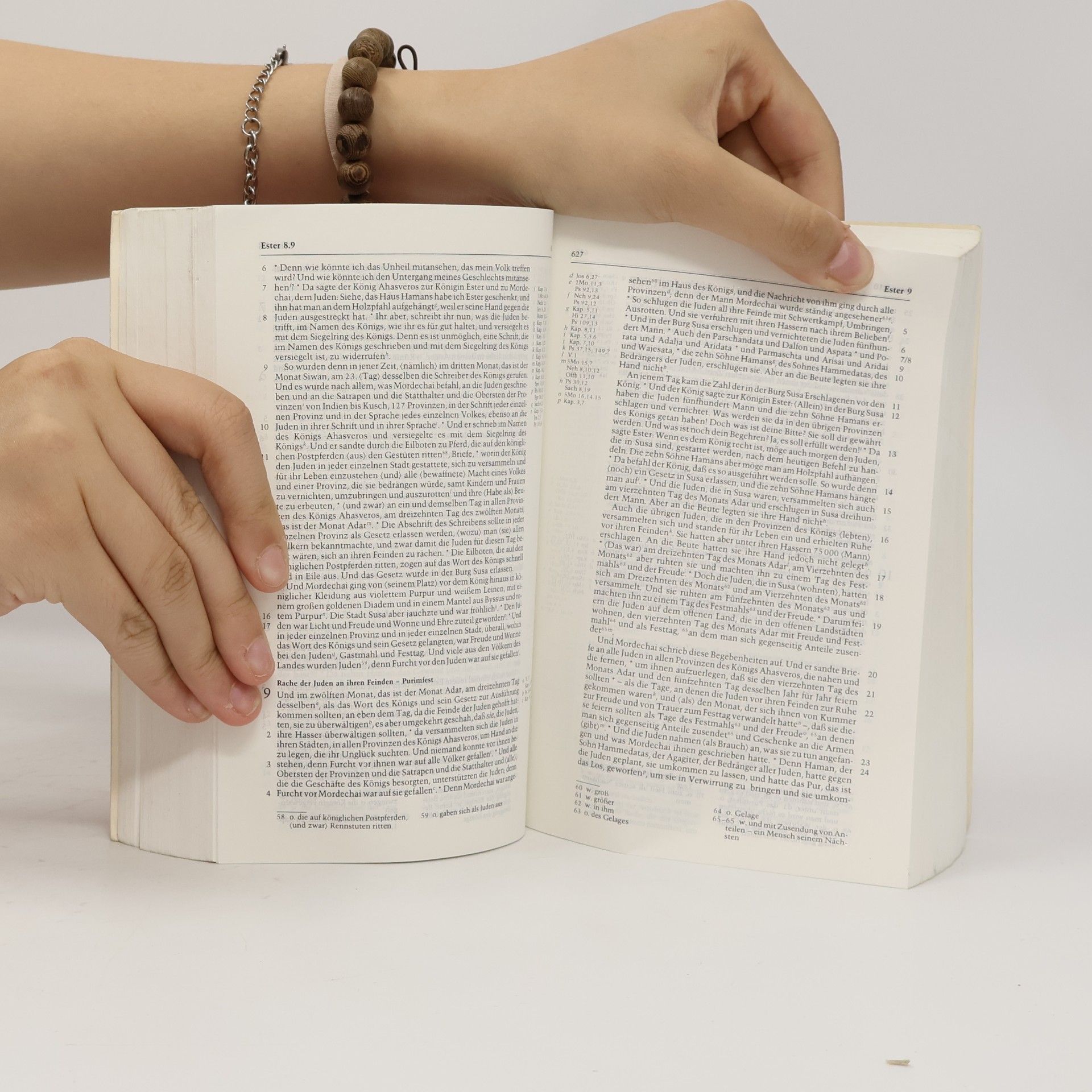 Autorenkollektiv Die Bibel Revidierte Elberfelder Bibel