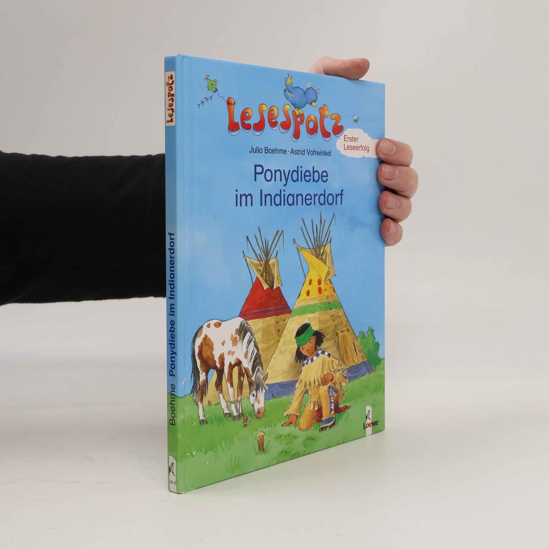 Julia Boehme Ponydiebe im Indianerdorf