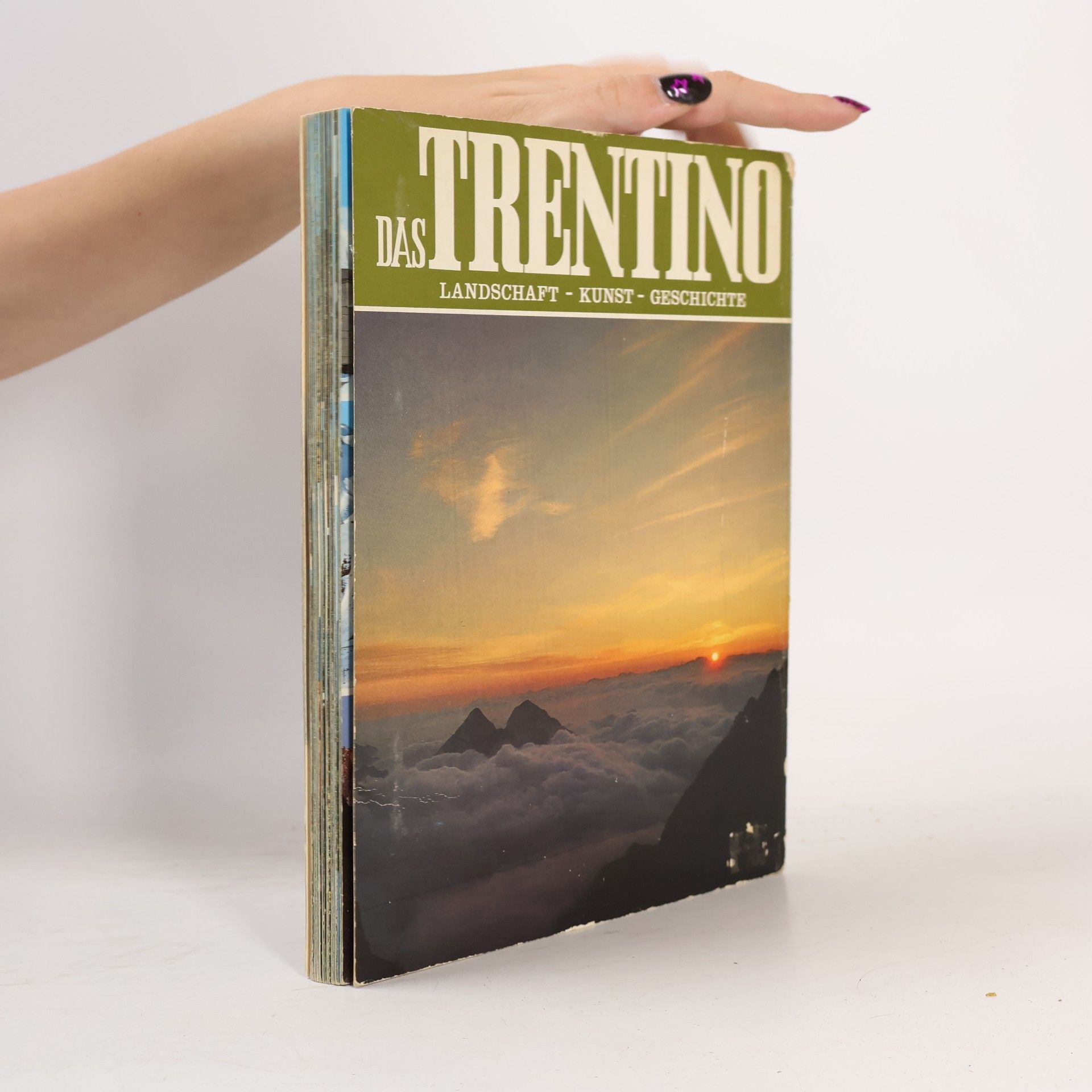 kolektiv Das Trentino