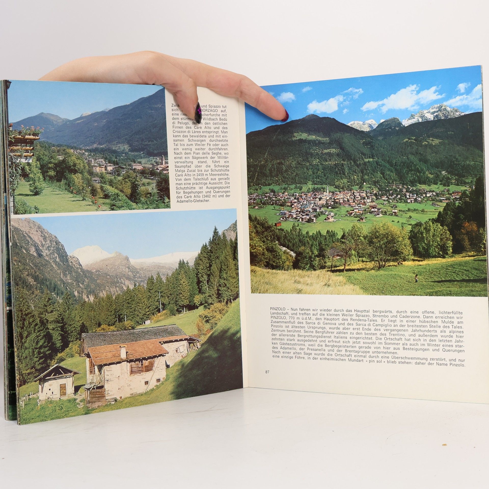 kolektiv Das Trentino