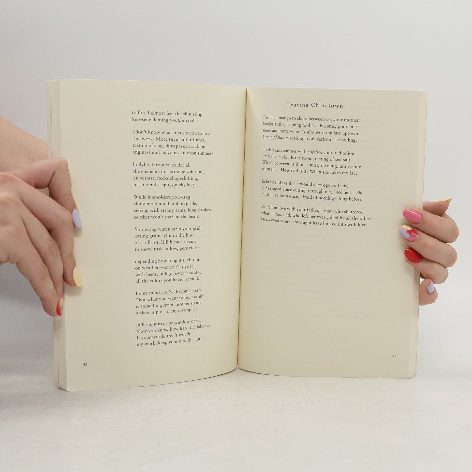 Suji Kwock Kim Notes from the Divided Country