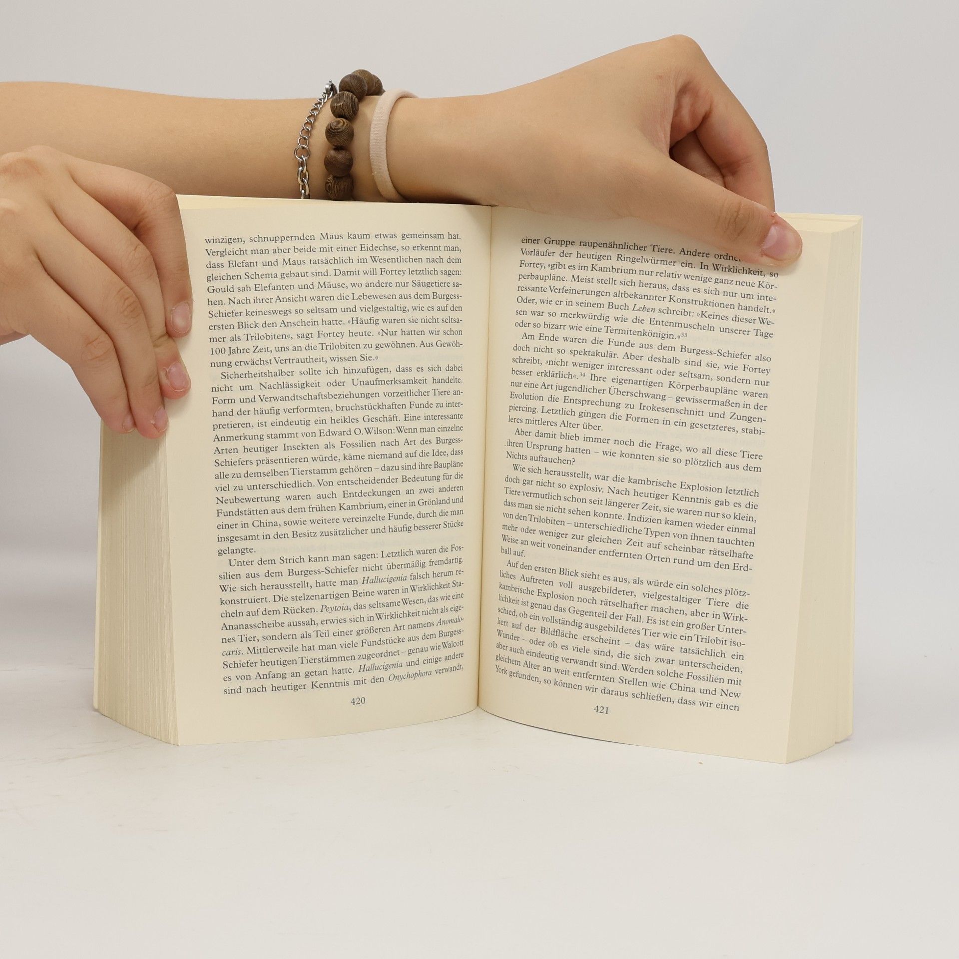 Bill Bryson Eine kurze Geschichte von fast allem