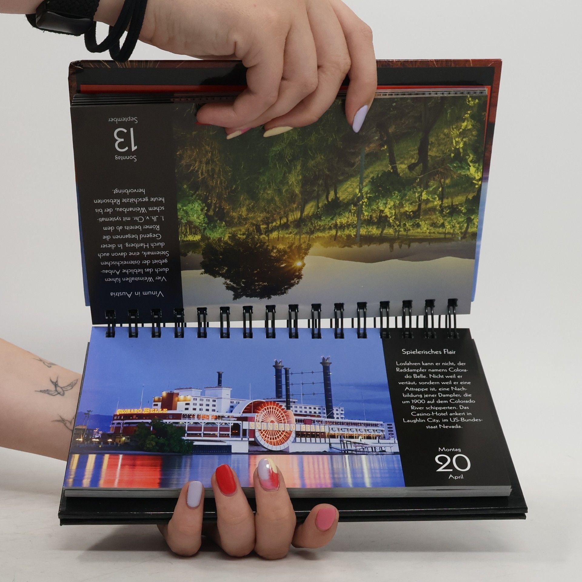 Ann Christin Artel Eine Reise um die Welt Kalender 2020