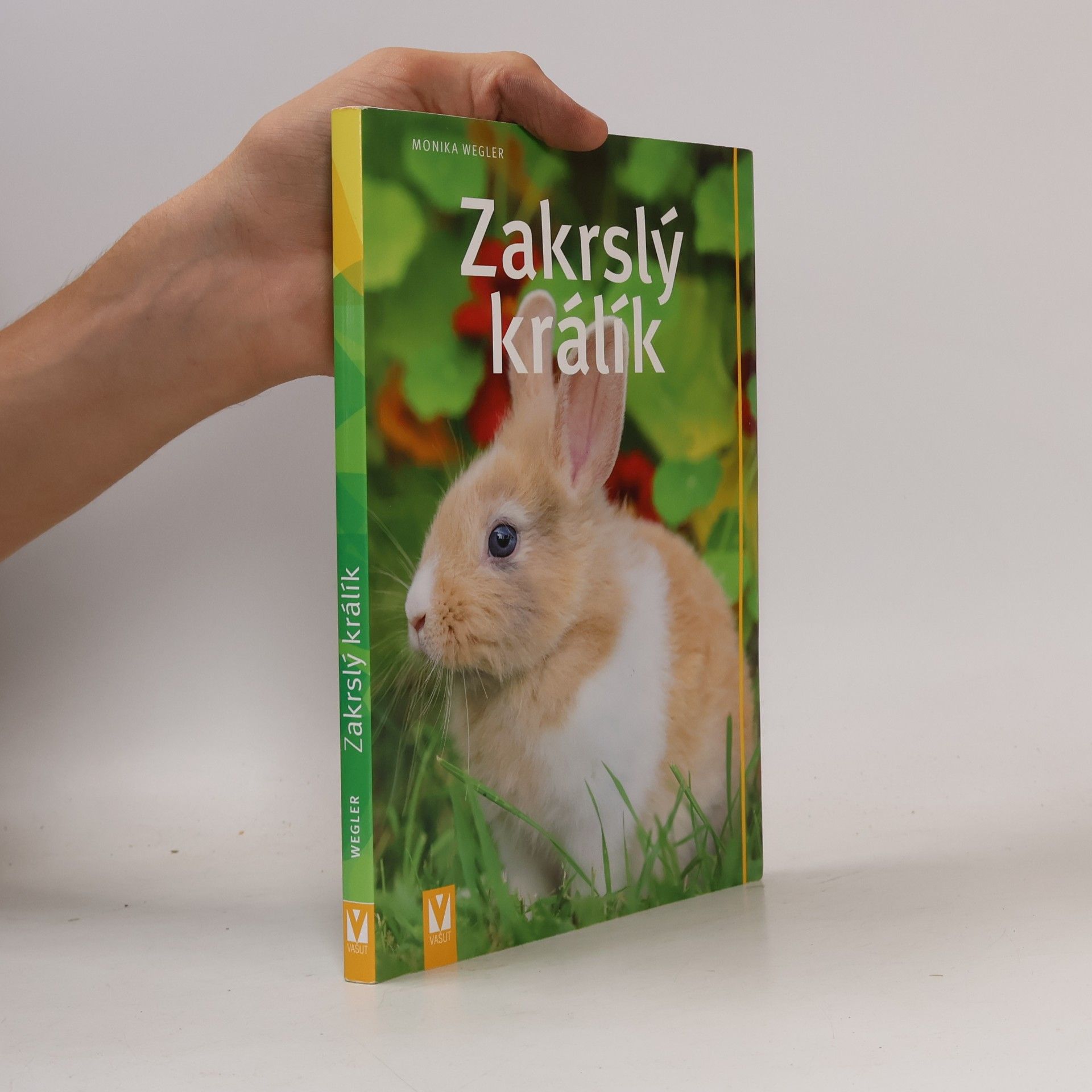 Monika Wegler Zakrslý králík