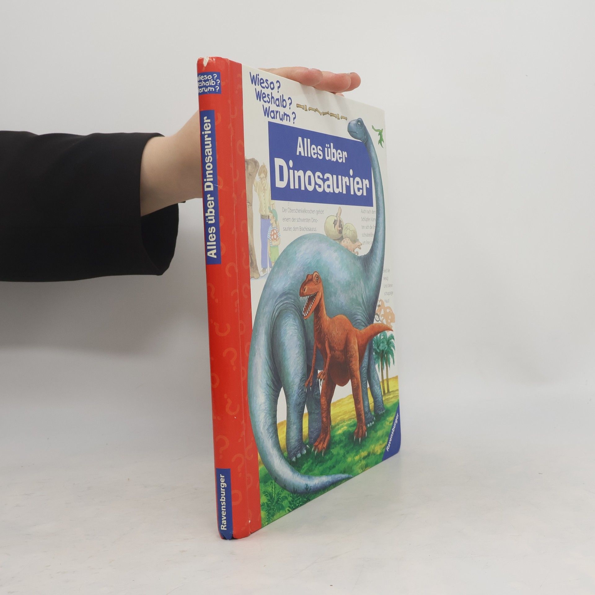 Patricia Mennen Alles über Dinosaurier