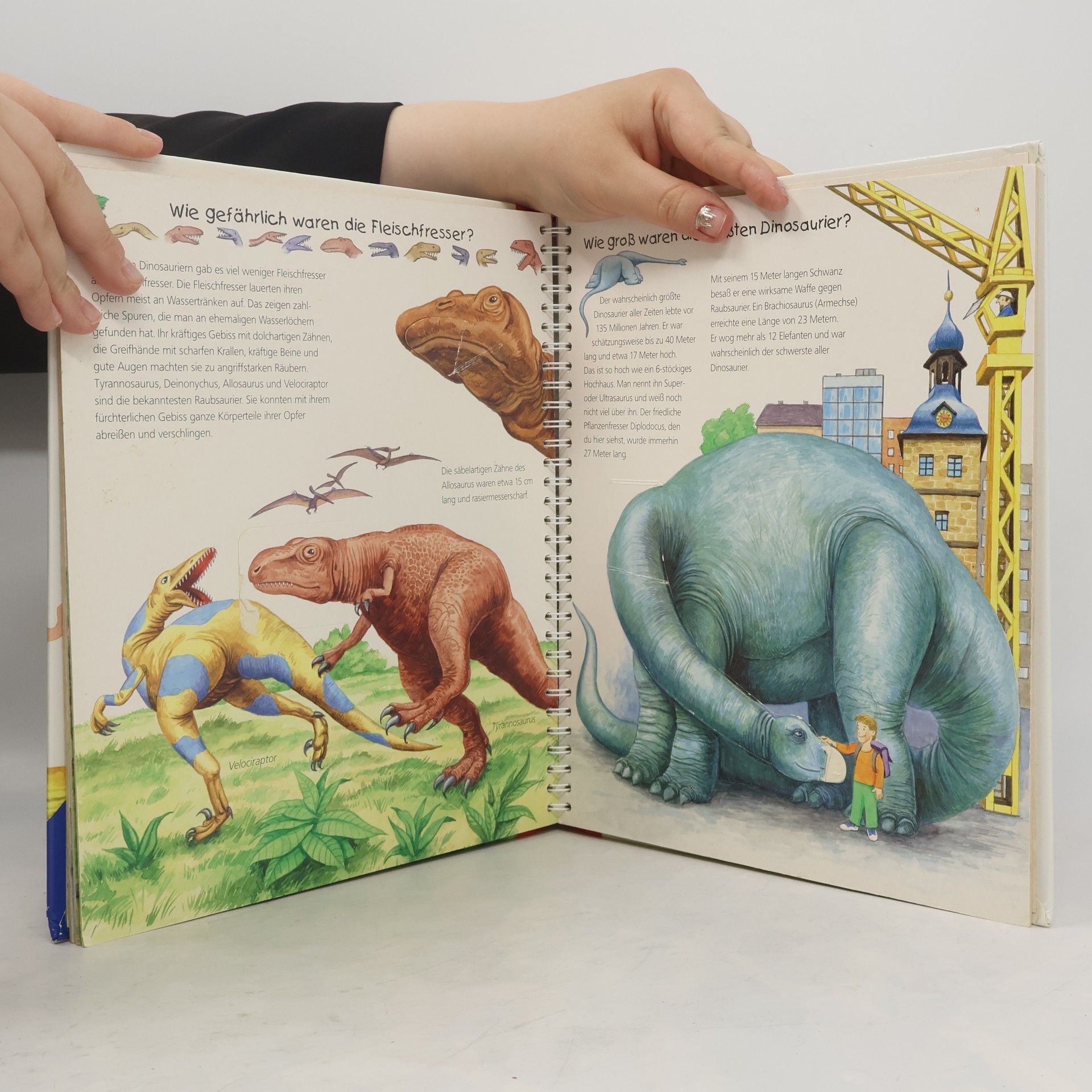 Patricia Mennen Alles über Dinosaurier