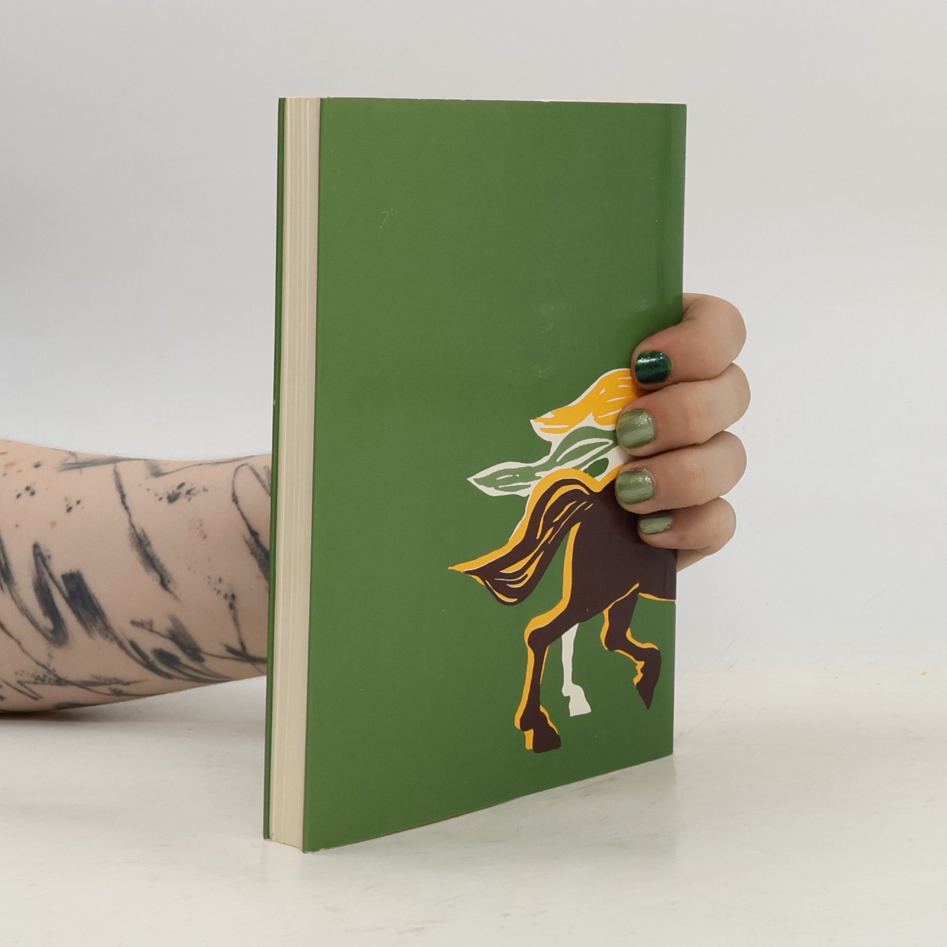 Masaharu Taniguchi Das Buch für die Jugend