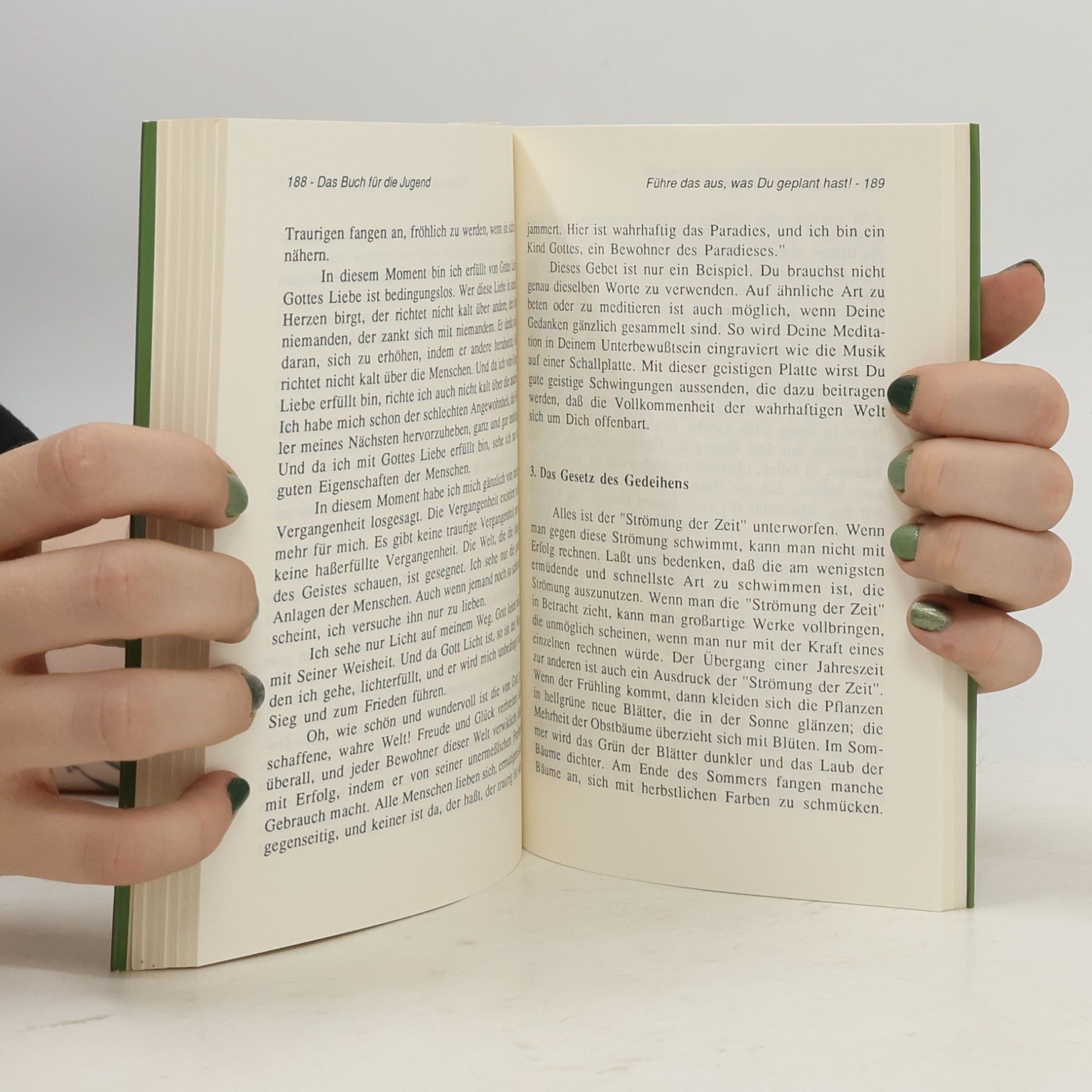 Masaharu Taniguchi Das Buch für die Jugend