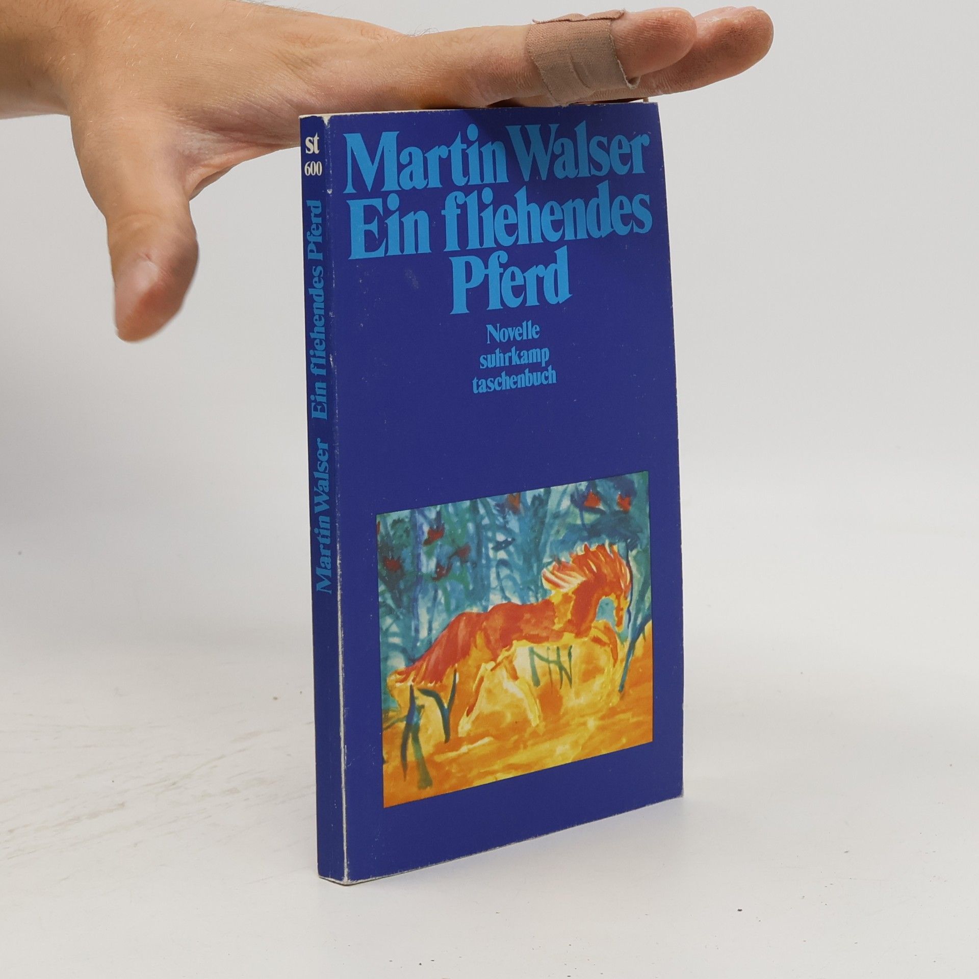 Ein fliehendes Pferd
