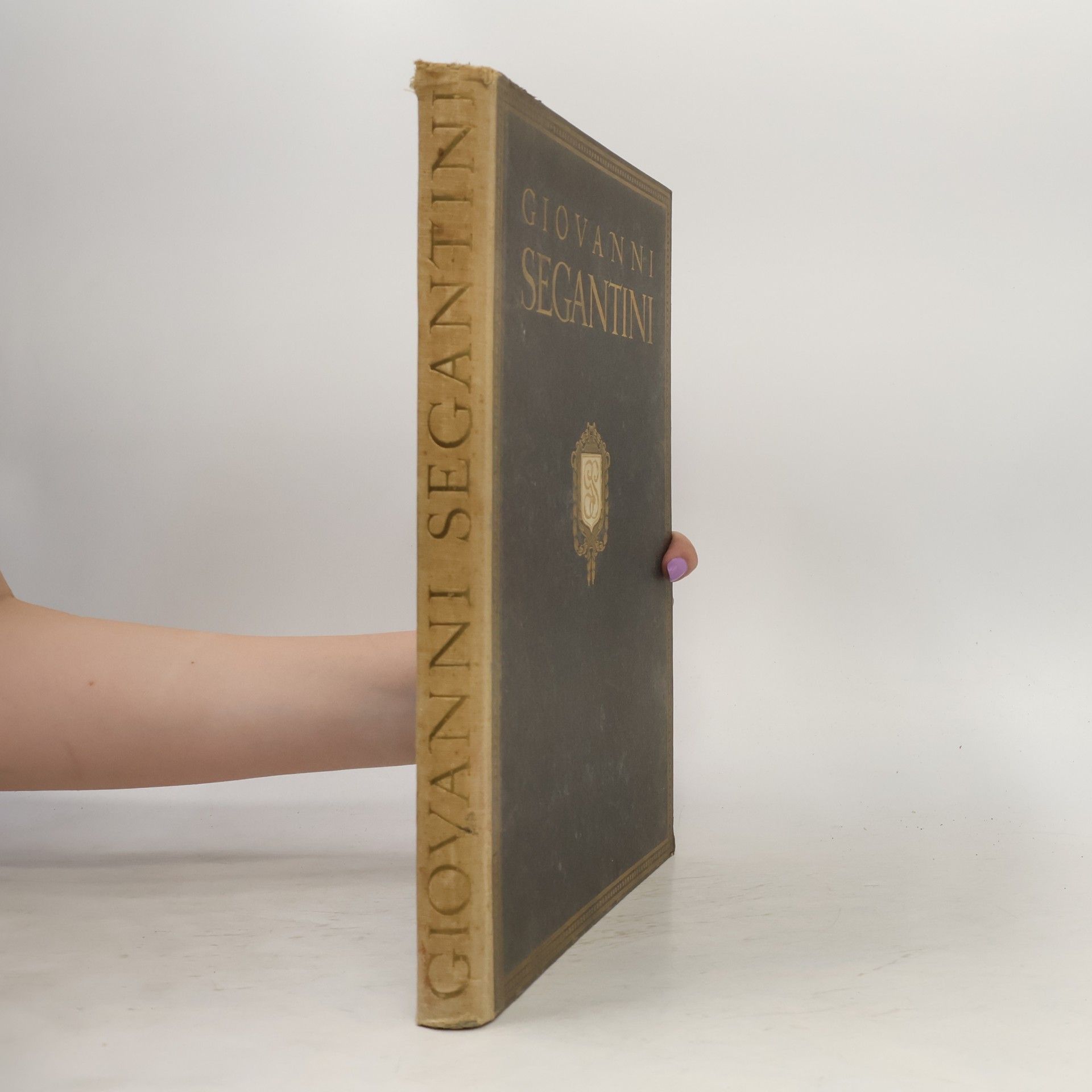 Diana Segantini Sein Leben und seine Werke