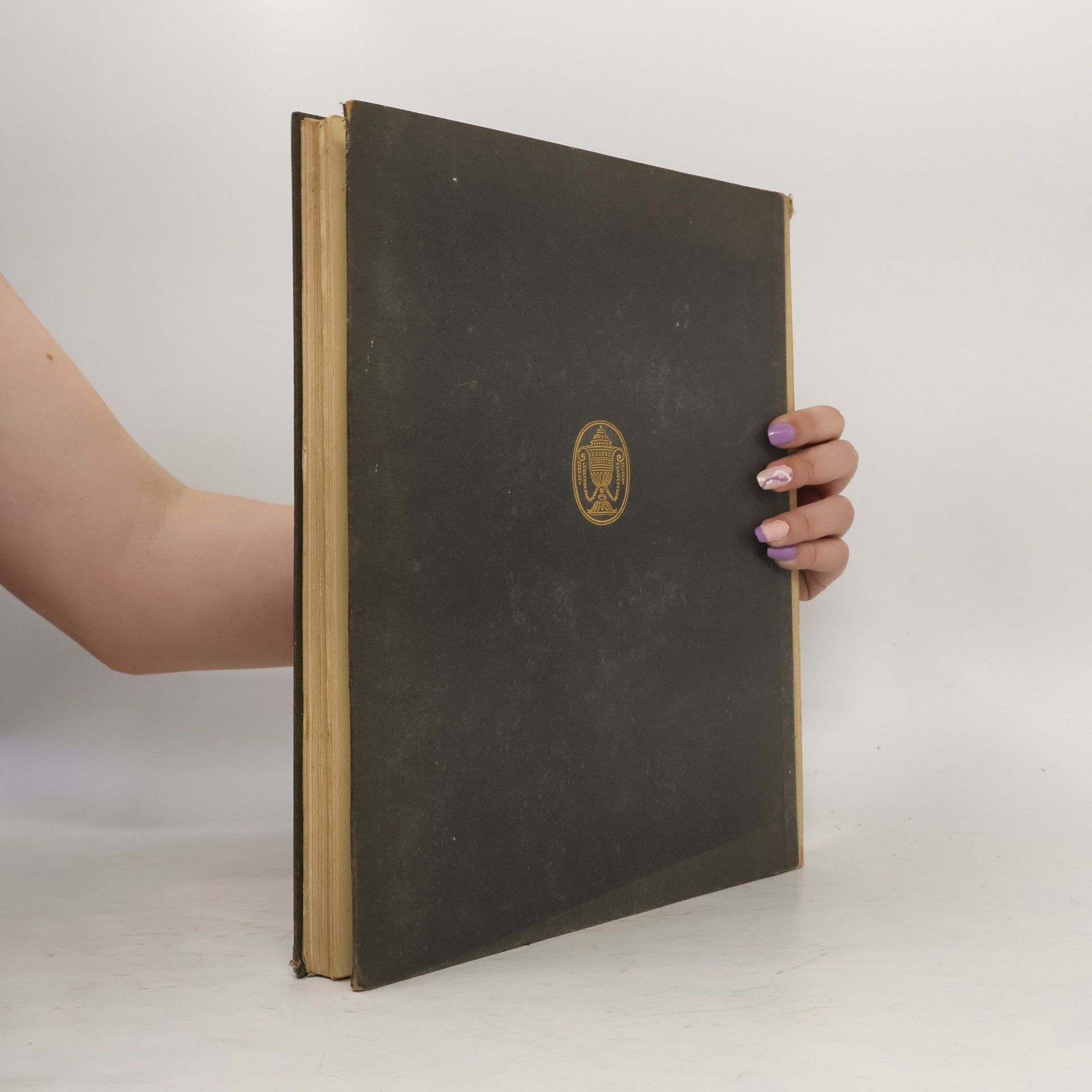 Diana Segantini Sein Leben und seine Werke