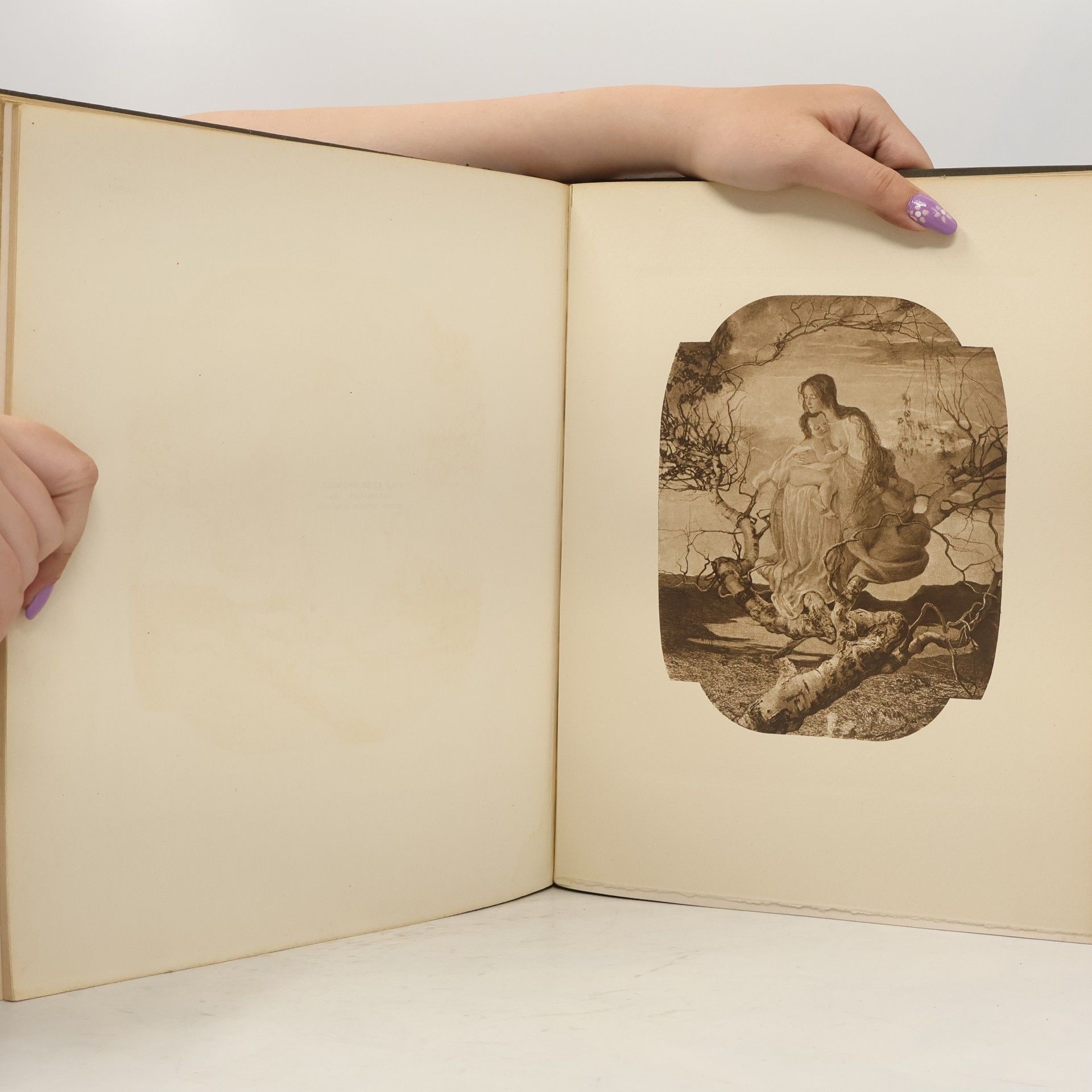 Diana Segantini Sein Leben und seine Werke