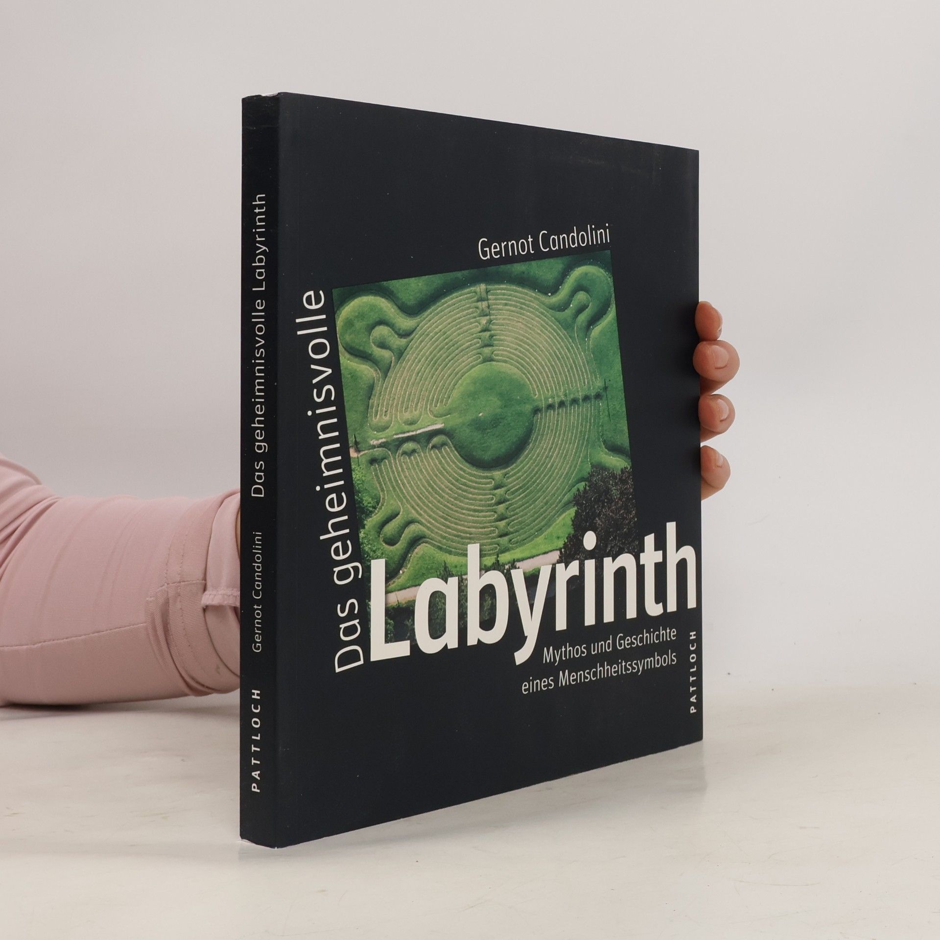 Das geheimnisvolle Labyrinth
