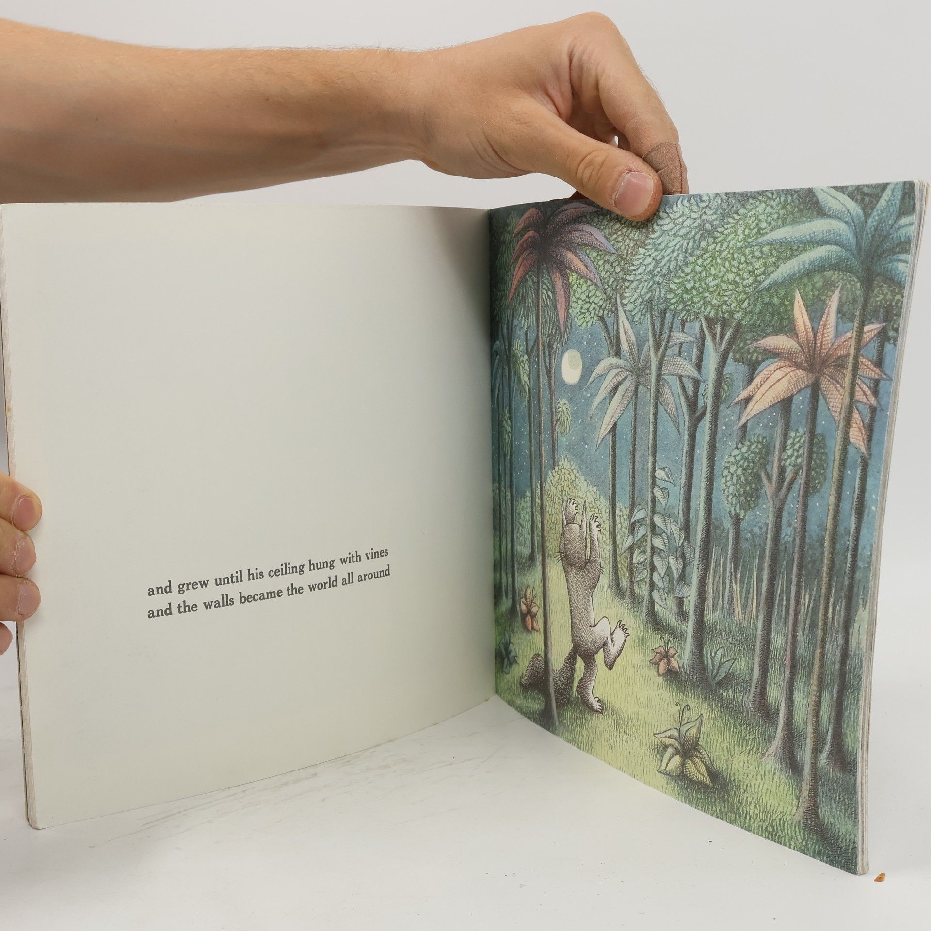 Maurice Sendak Where the Wild Things Are