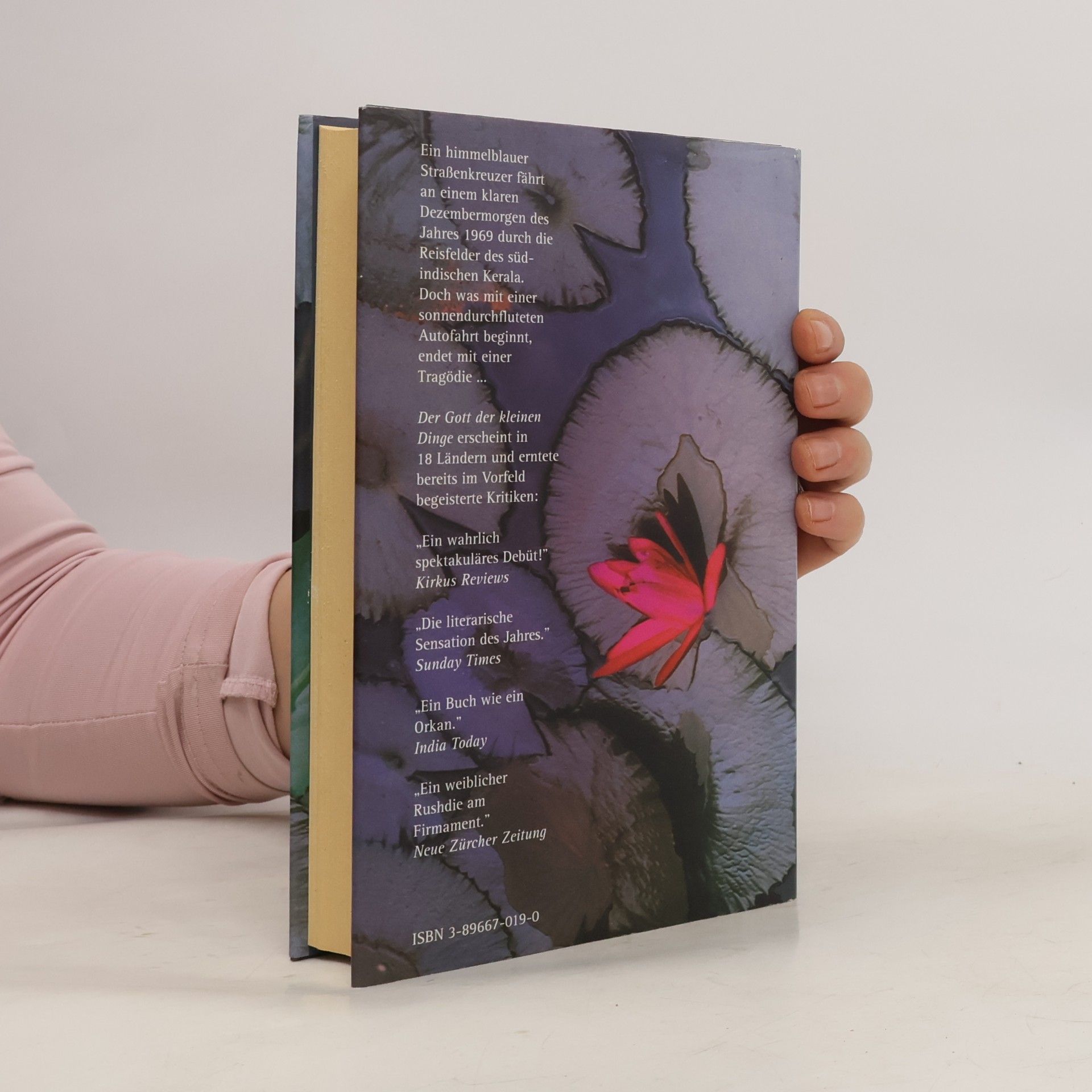 Arundhati Roy Der Gott der Kleinen Dinge