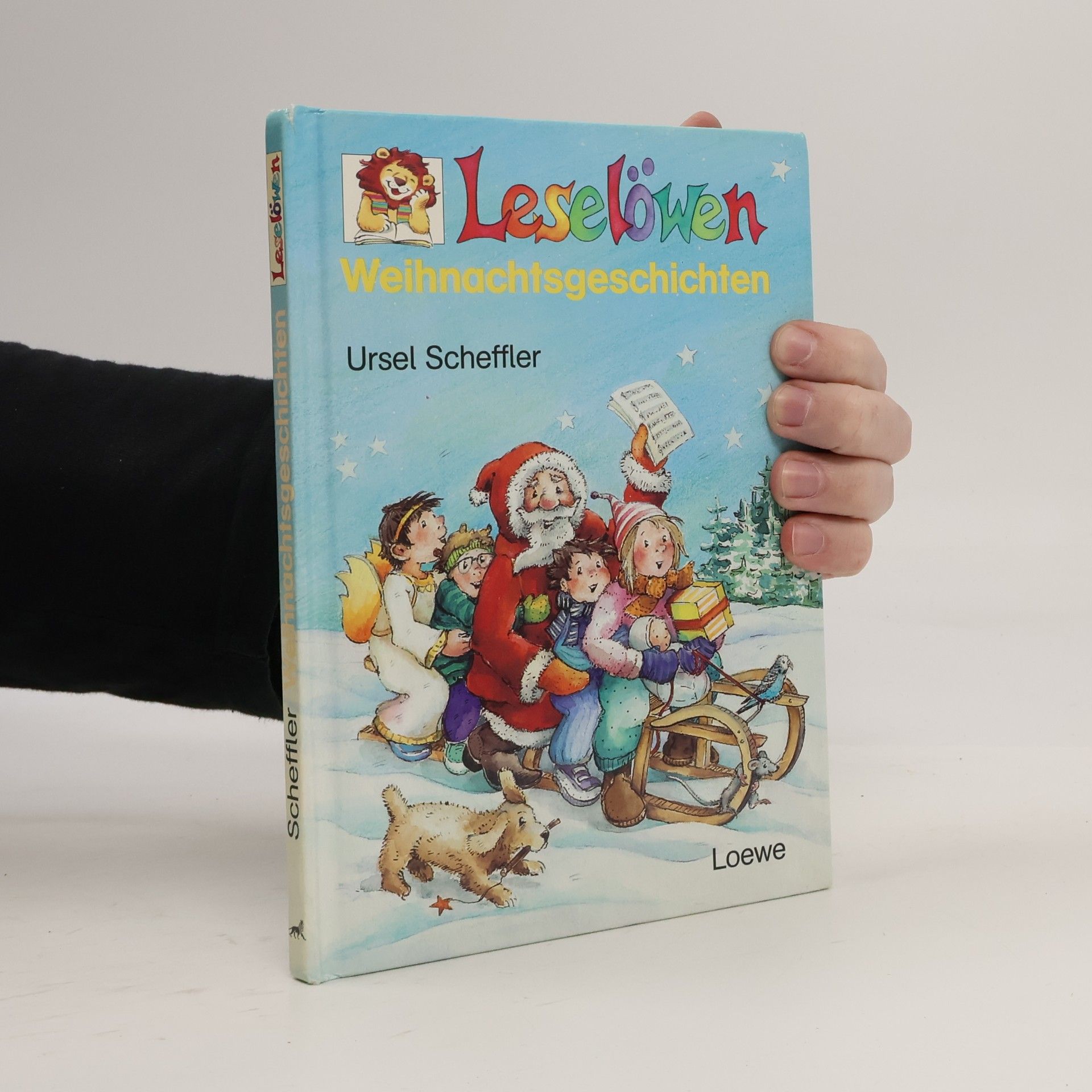 Leselöwen-Weihnachtsgeschichten
