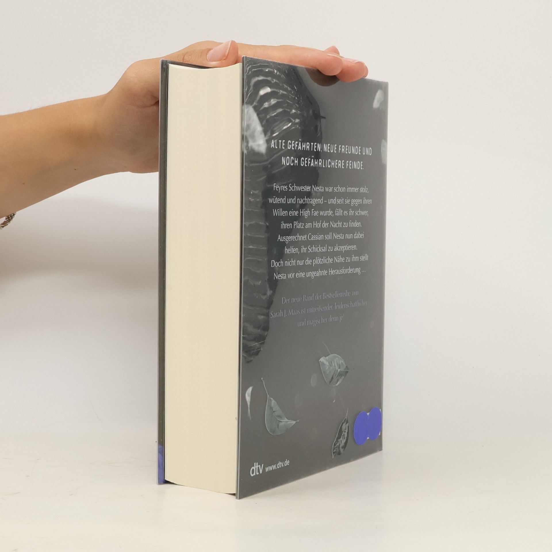 Sarah J. Maas Das Reich der sieben Höfe - silbernes Feuer