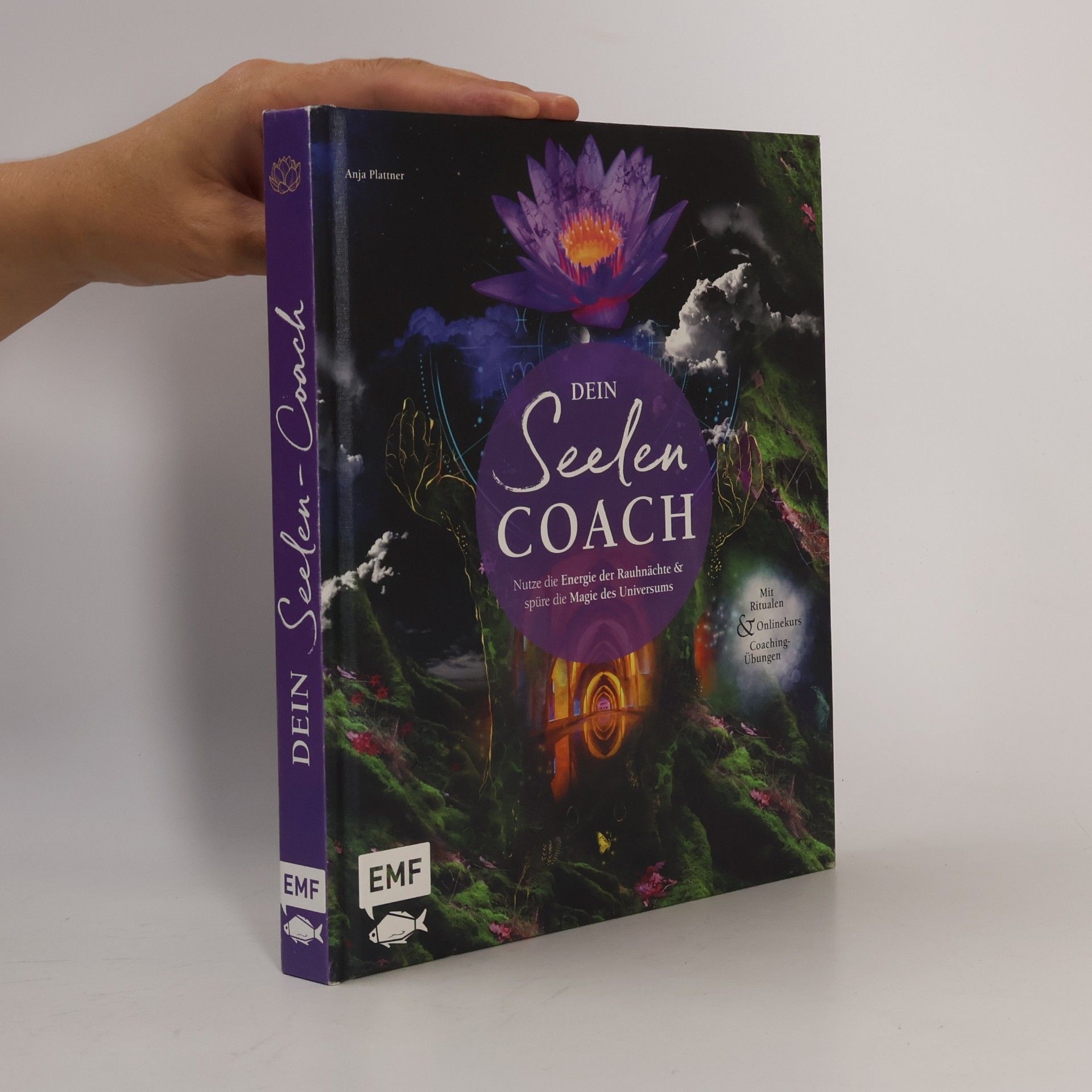 Anja Plattner Dein Seelen-Coach