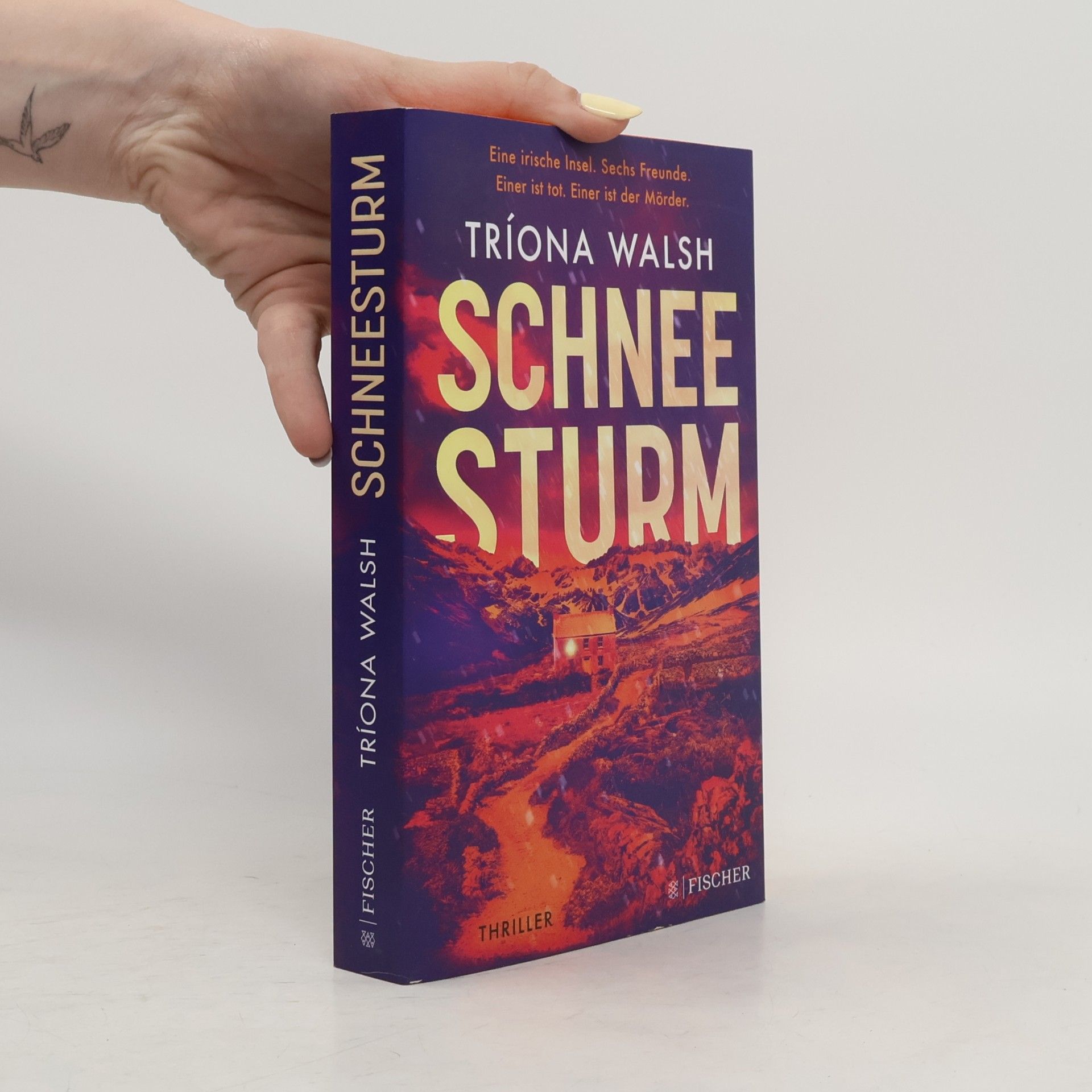 Tríona Walsh Schneesturm