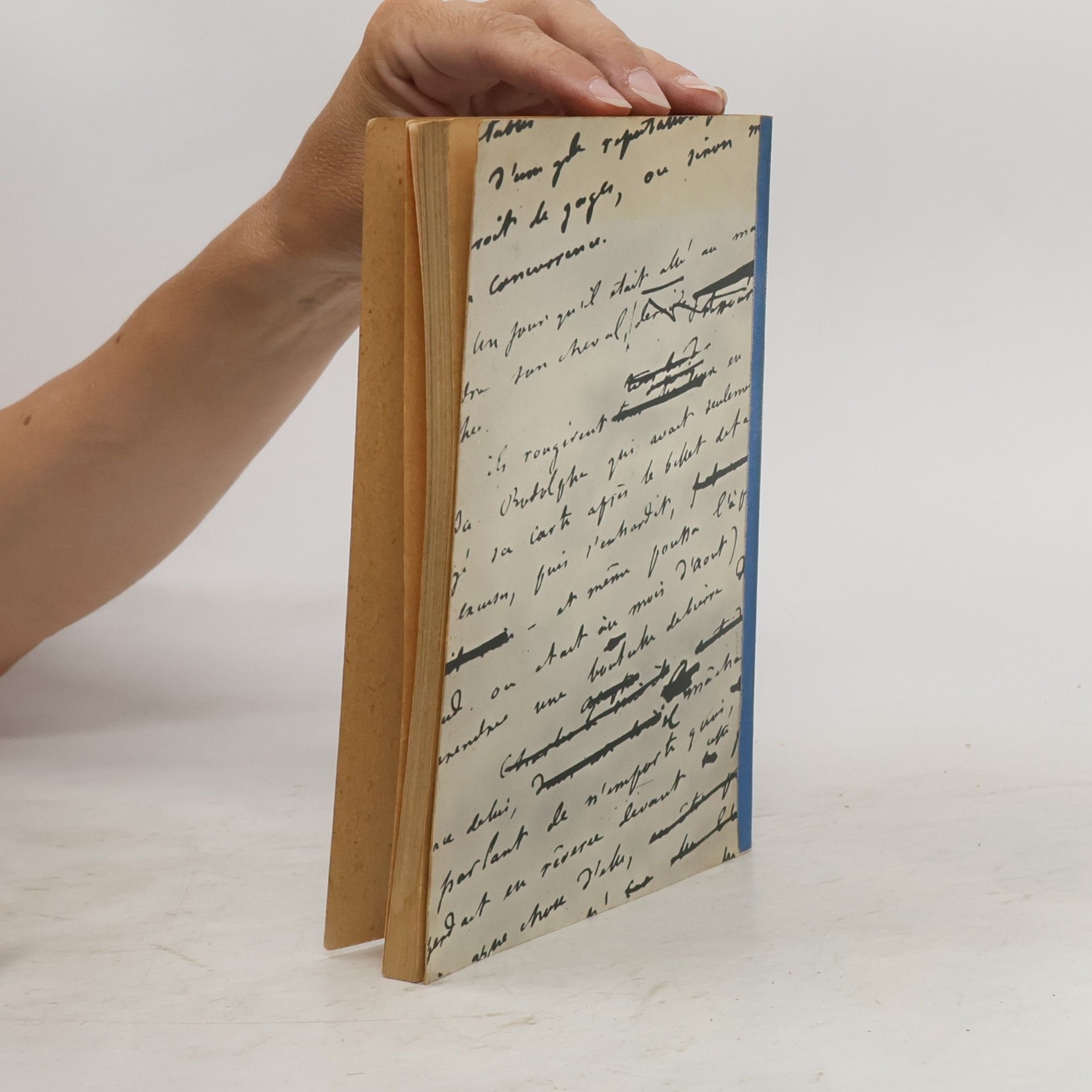 Collectif d'auteurs Flaubert
