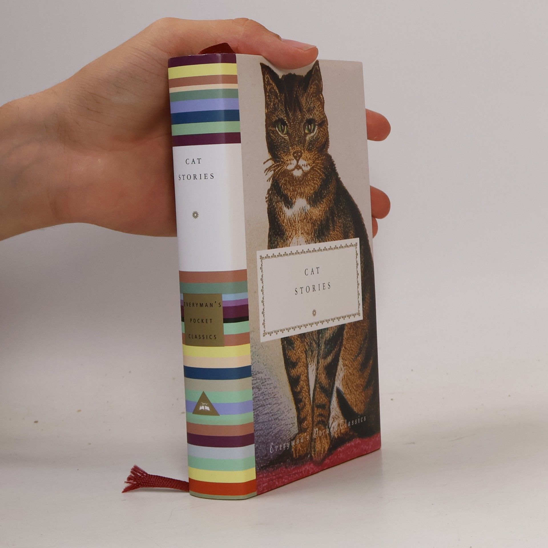 Cat Stories