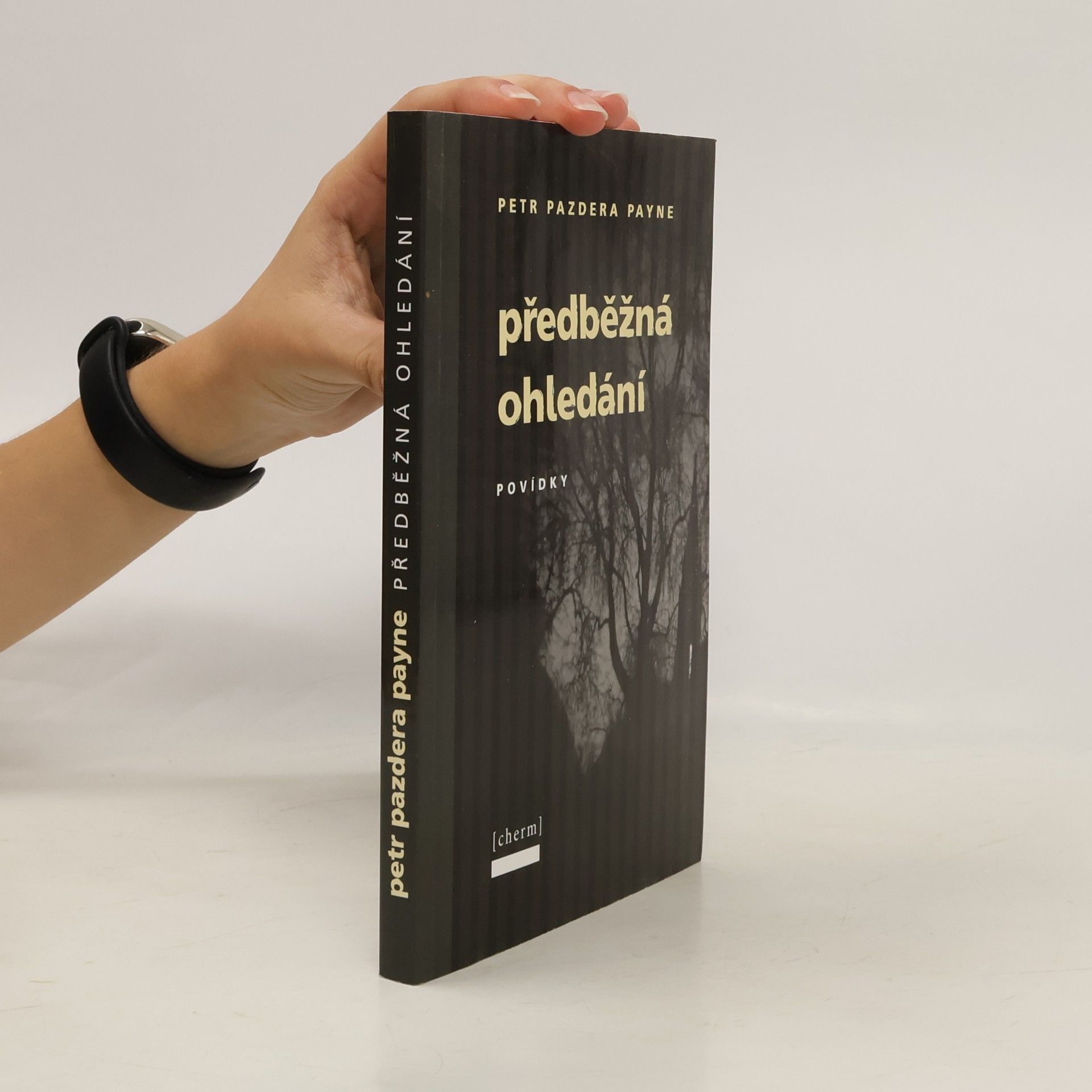 Předběžná ohledání