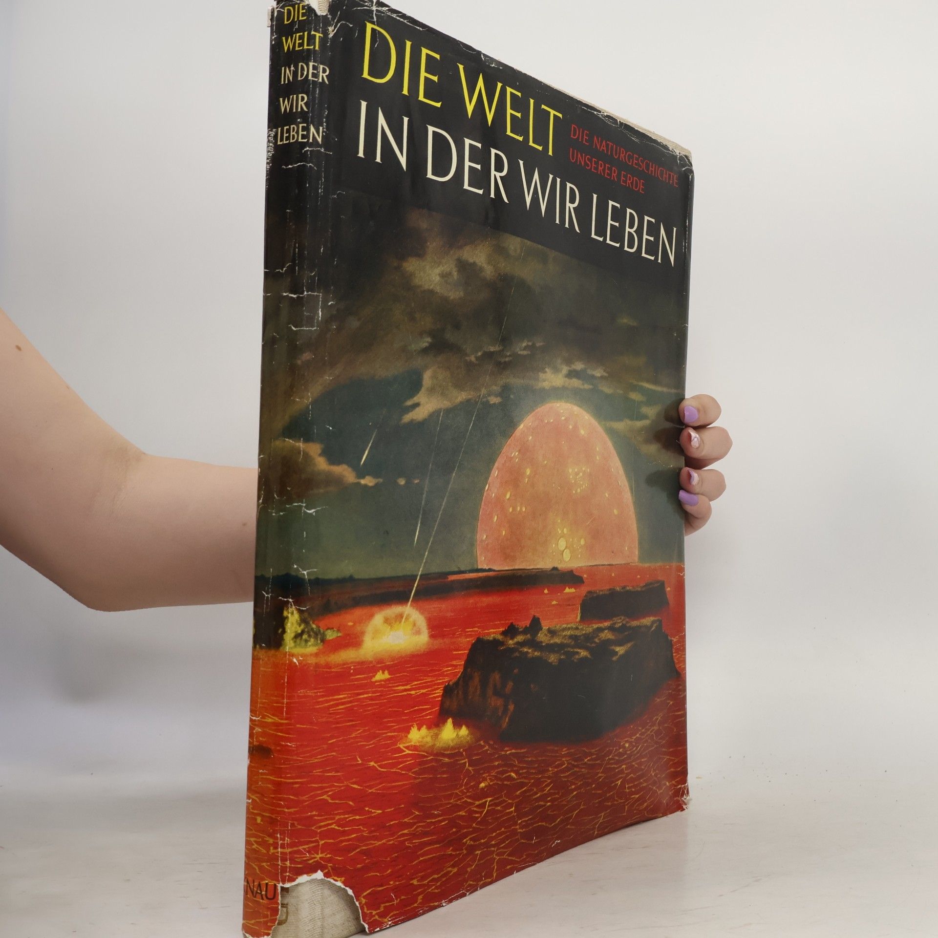 Autorenkollektiv Die Welt, in der wir Leben