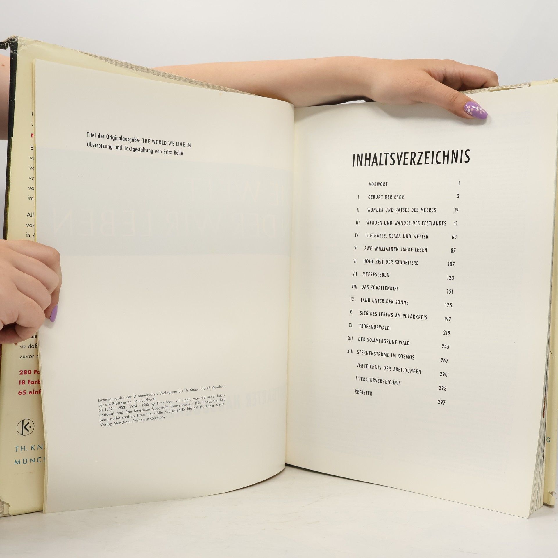 Autorenkollektiv Die Welt, in der wir Leben