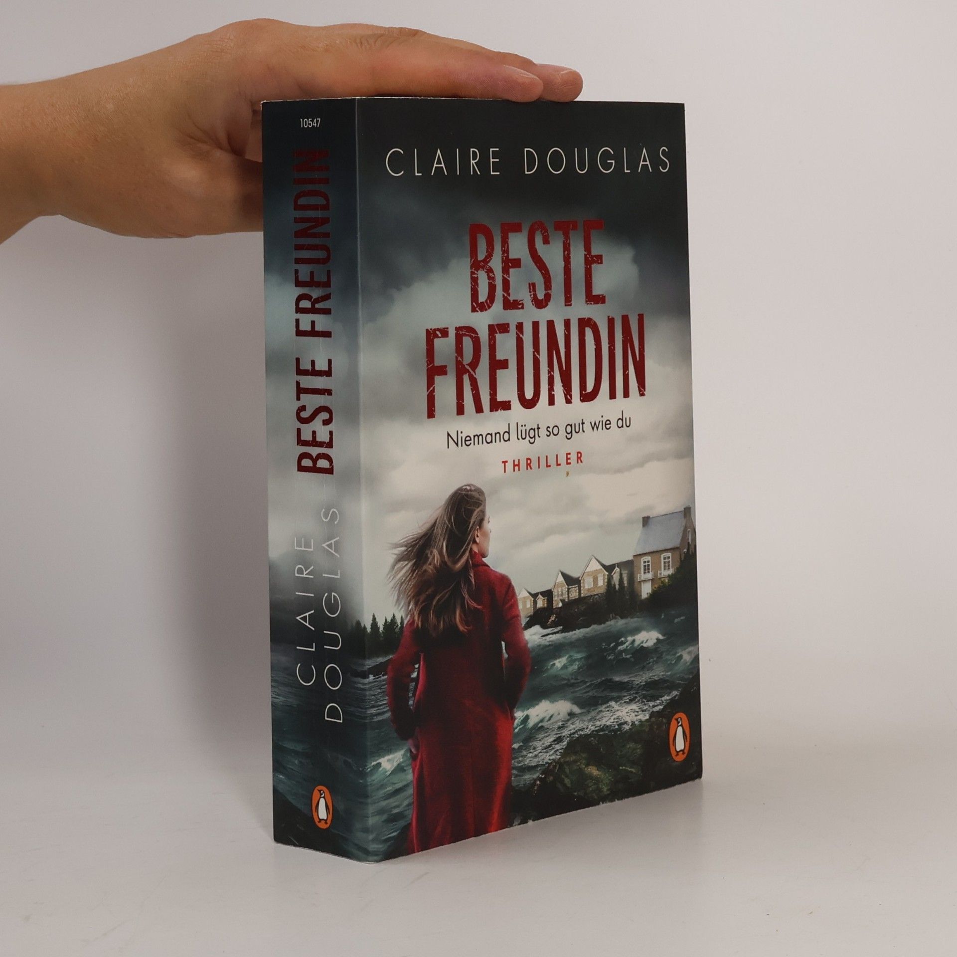 Claire Douglas Beste Freundin - niemand lügt so gut wie du
