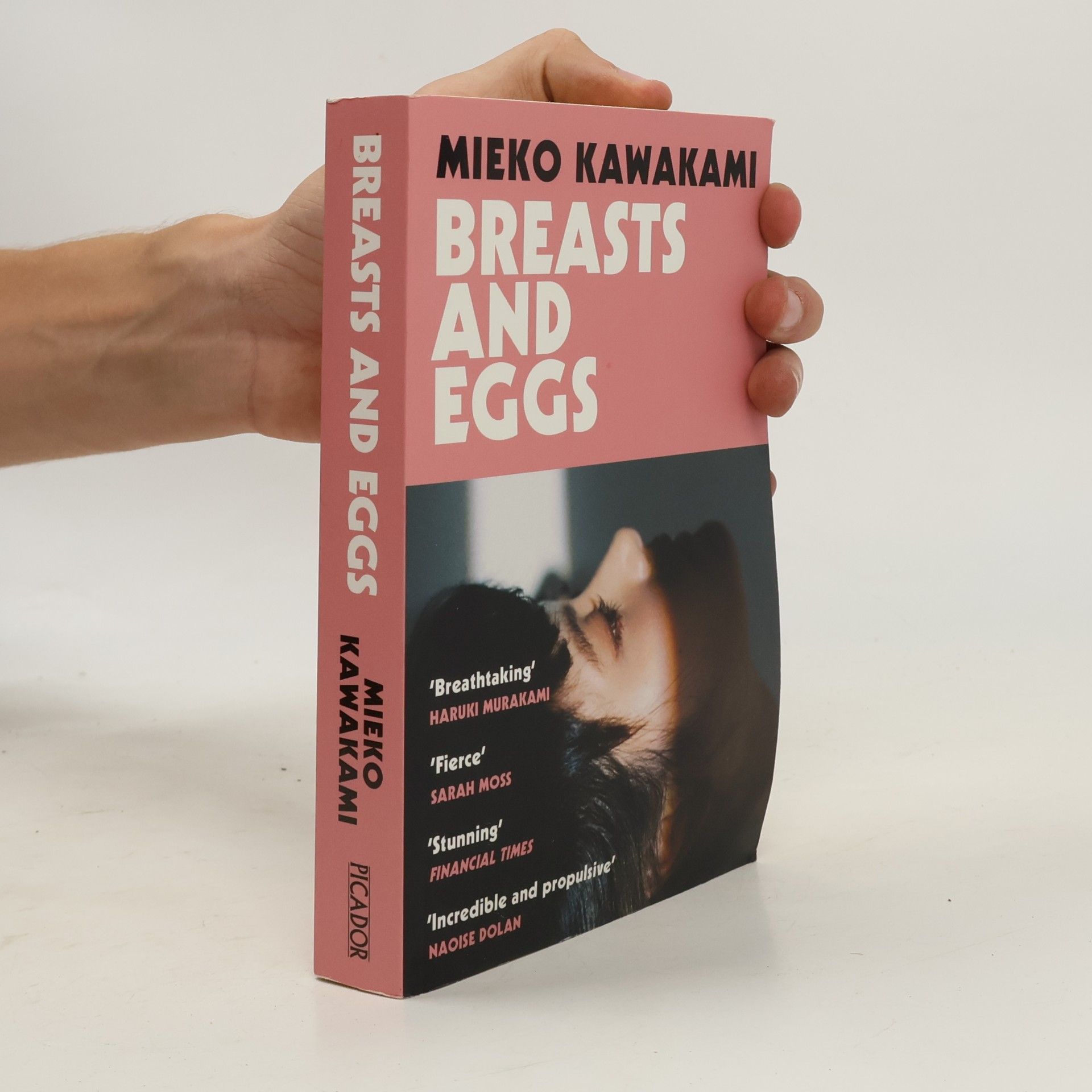 Mieko Kawakami Breasts and Eggs