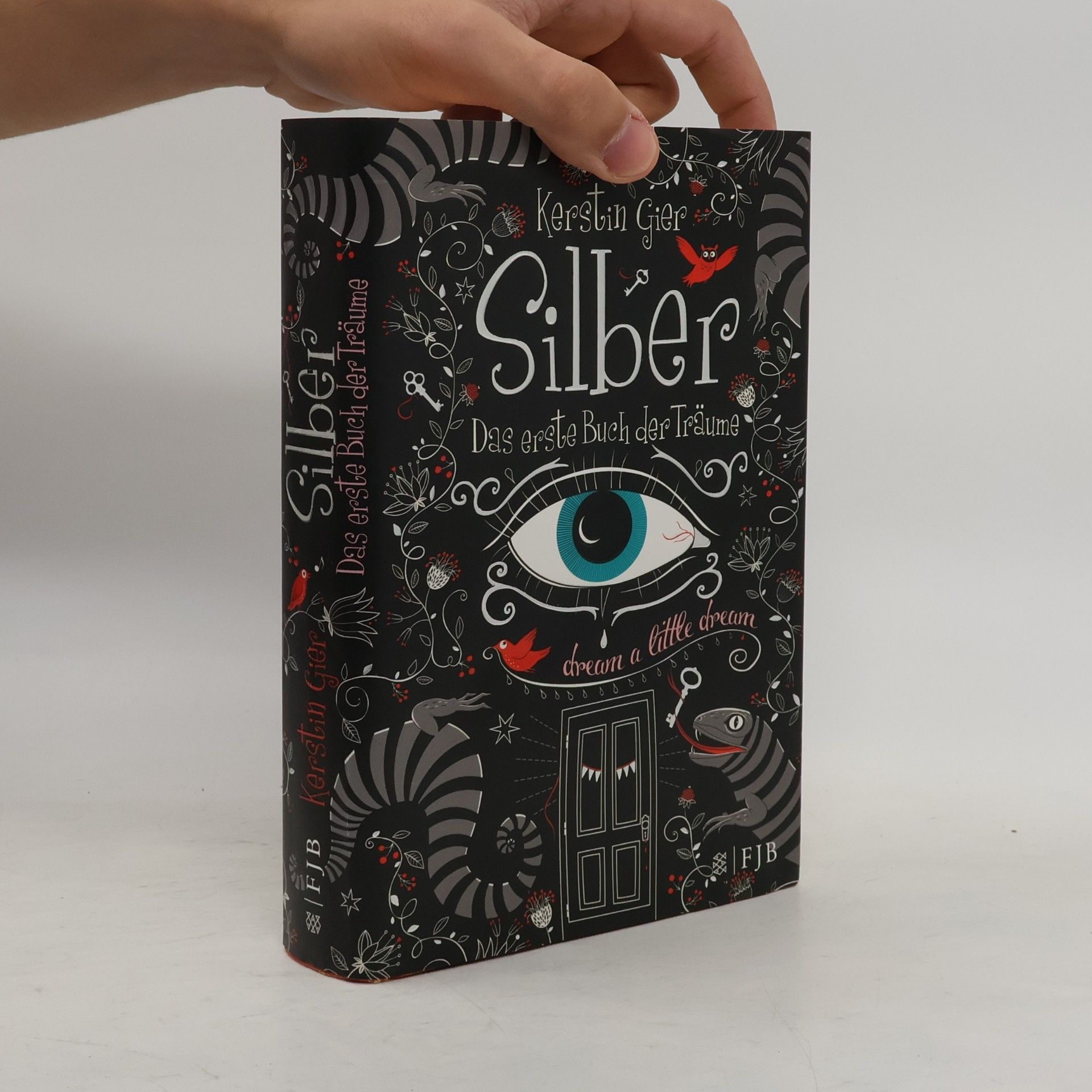 Kerstin Gier Silber. Das erste Buch der Träume