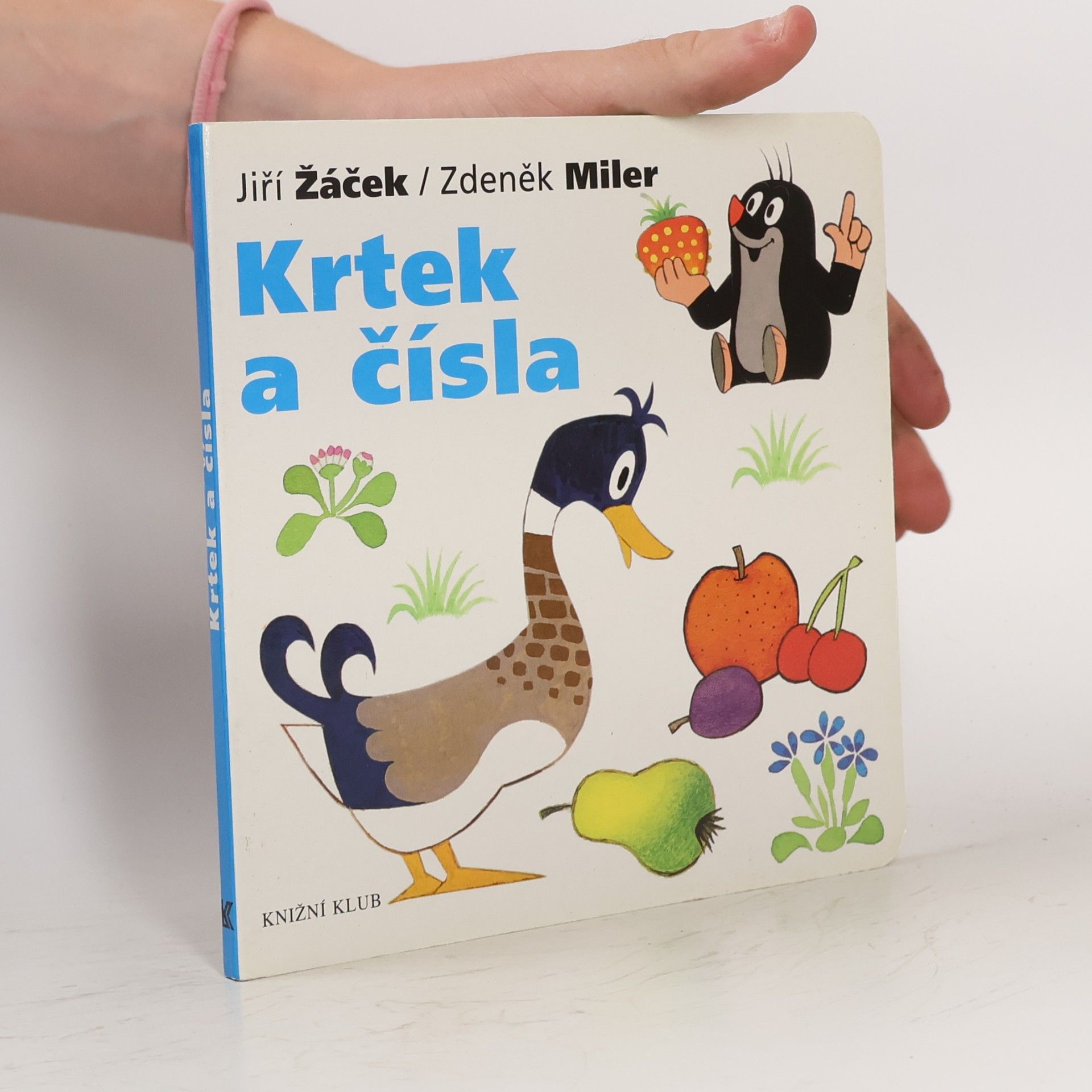 Jiří Žáček Krtek a čísla