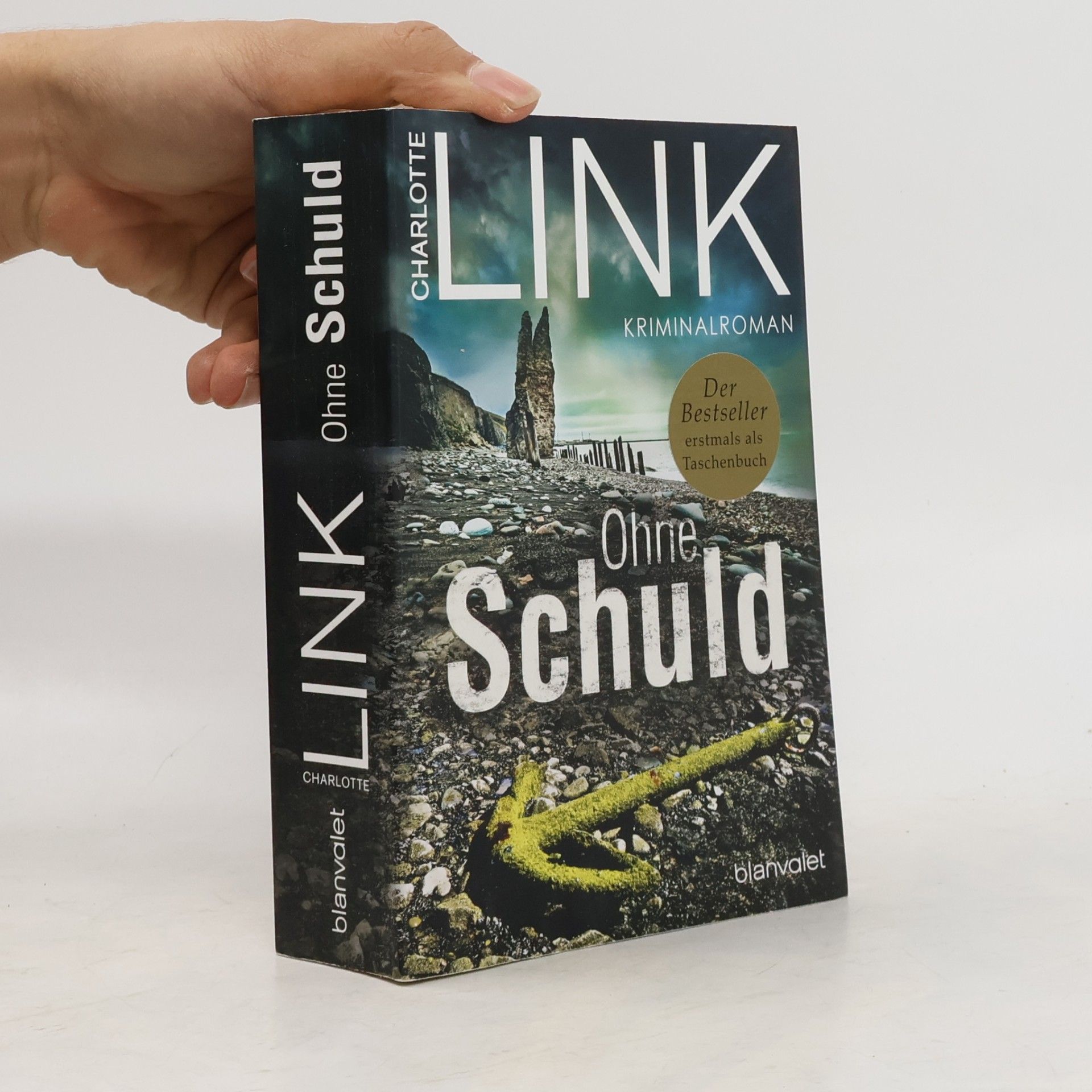 Charlotte Link Ohne Schuld